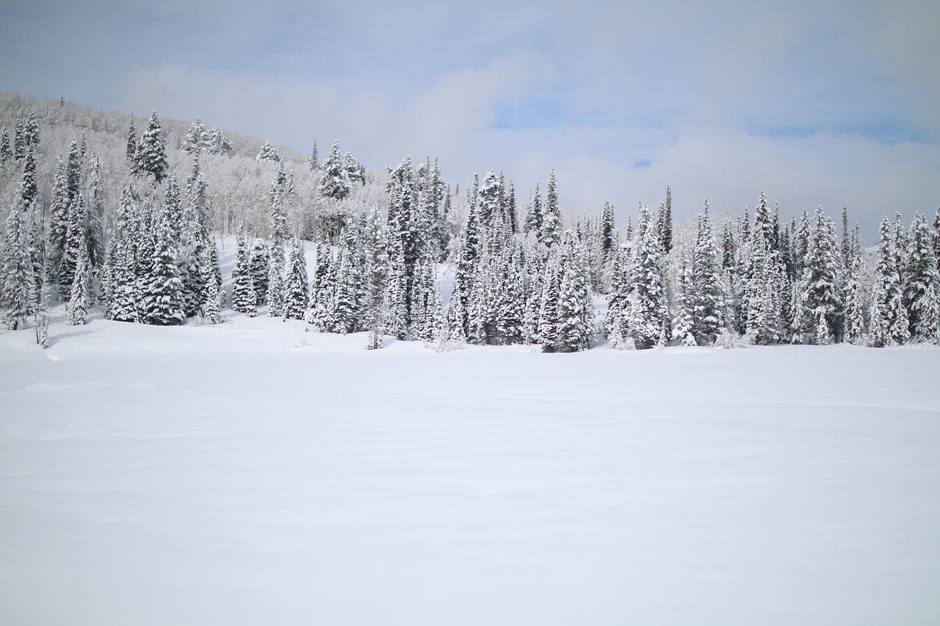 Paisajes de invierno para colorear