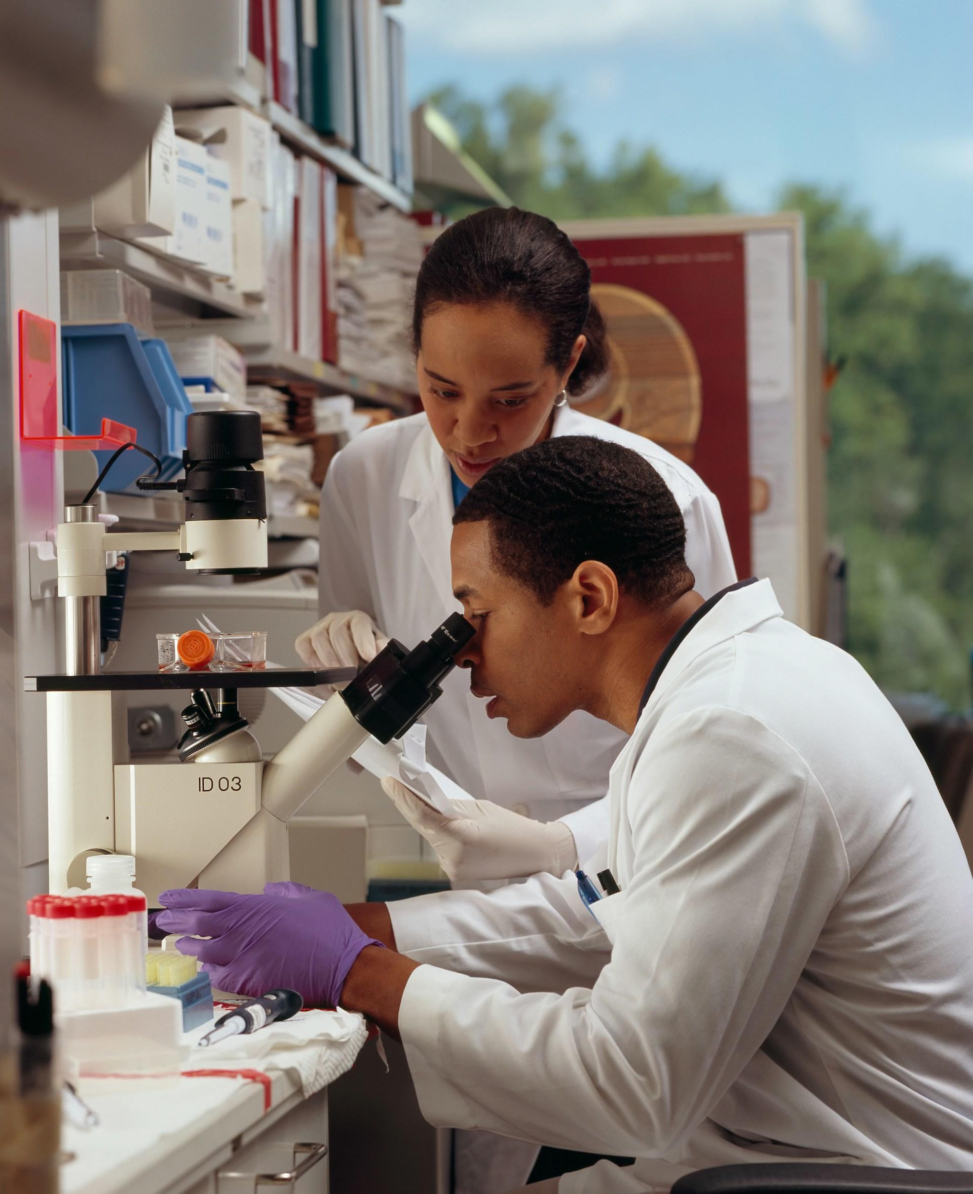 Investigador de ingeniería química