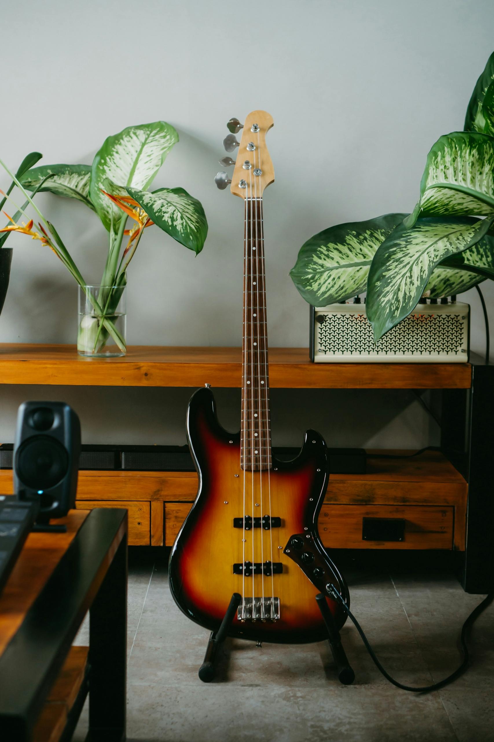 bajo electrico