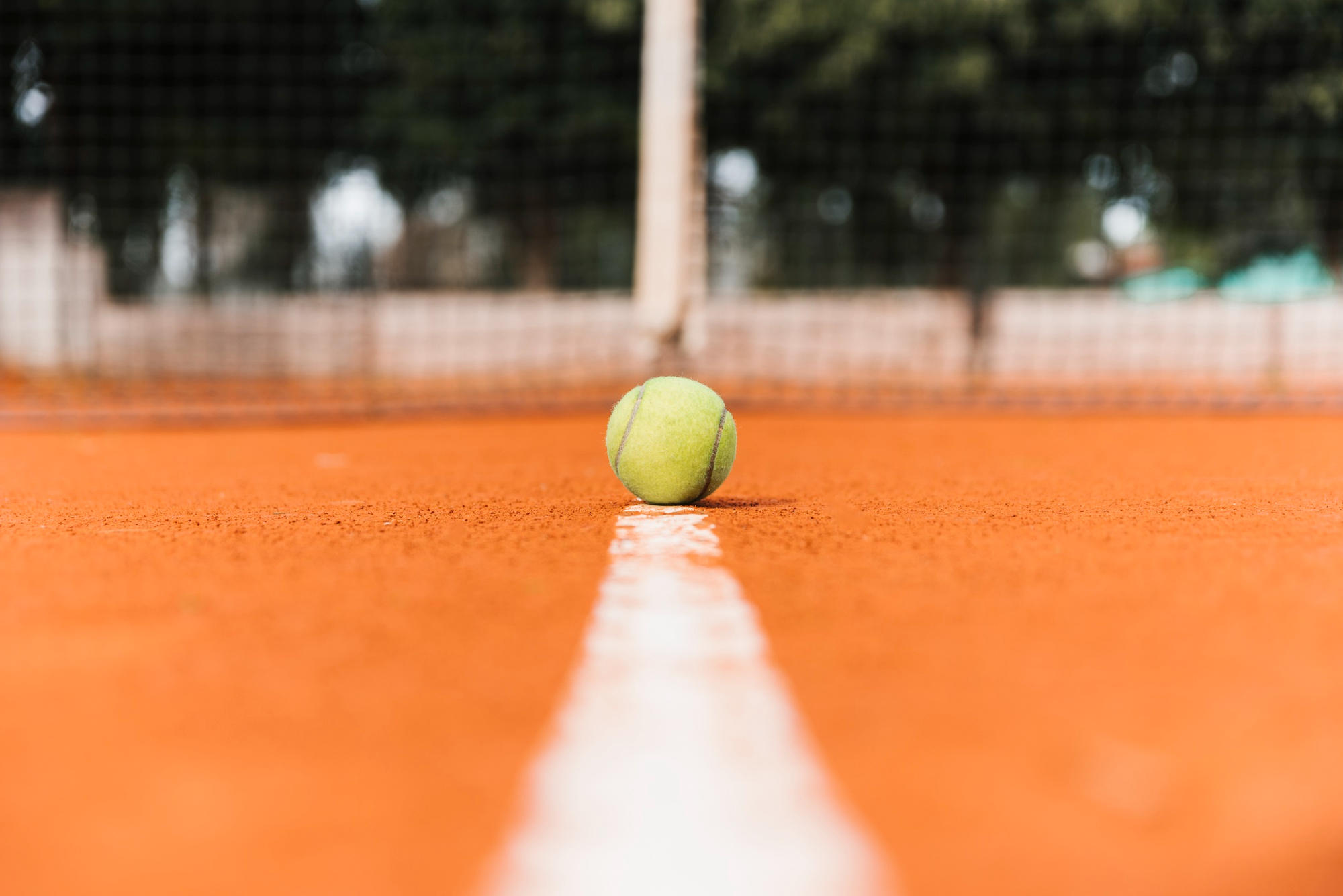 El torneo más prestigioso en una cancha de arcilla es el Roland Garros, también conocido como el Abierto de Francia.