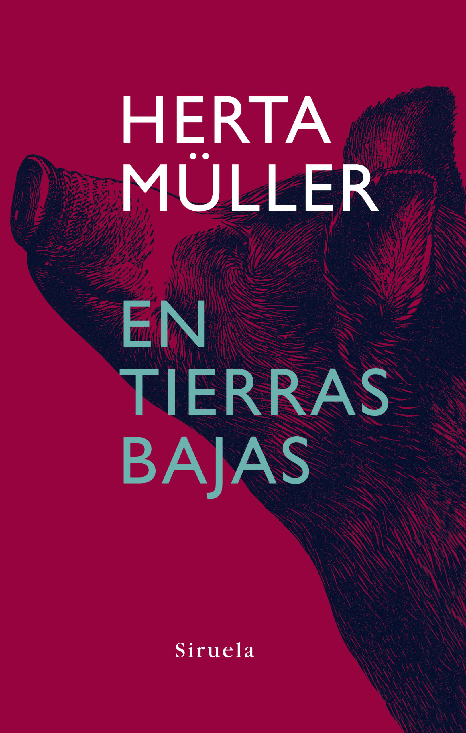 Portada del libro En tierras bajas, de Herta Müller, con una ilustración de una cabeza de cerdo sobre un fondo rojo intenso, con el nombre de la autora y el título en letras grandes blancas y verde azuladas.