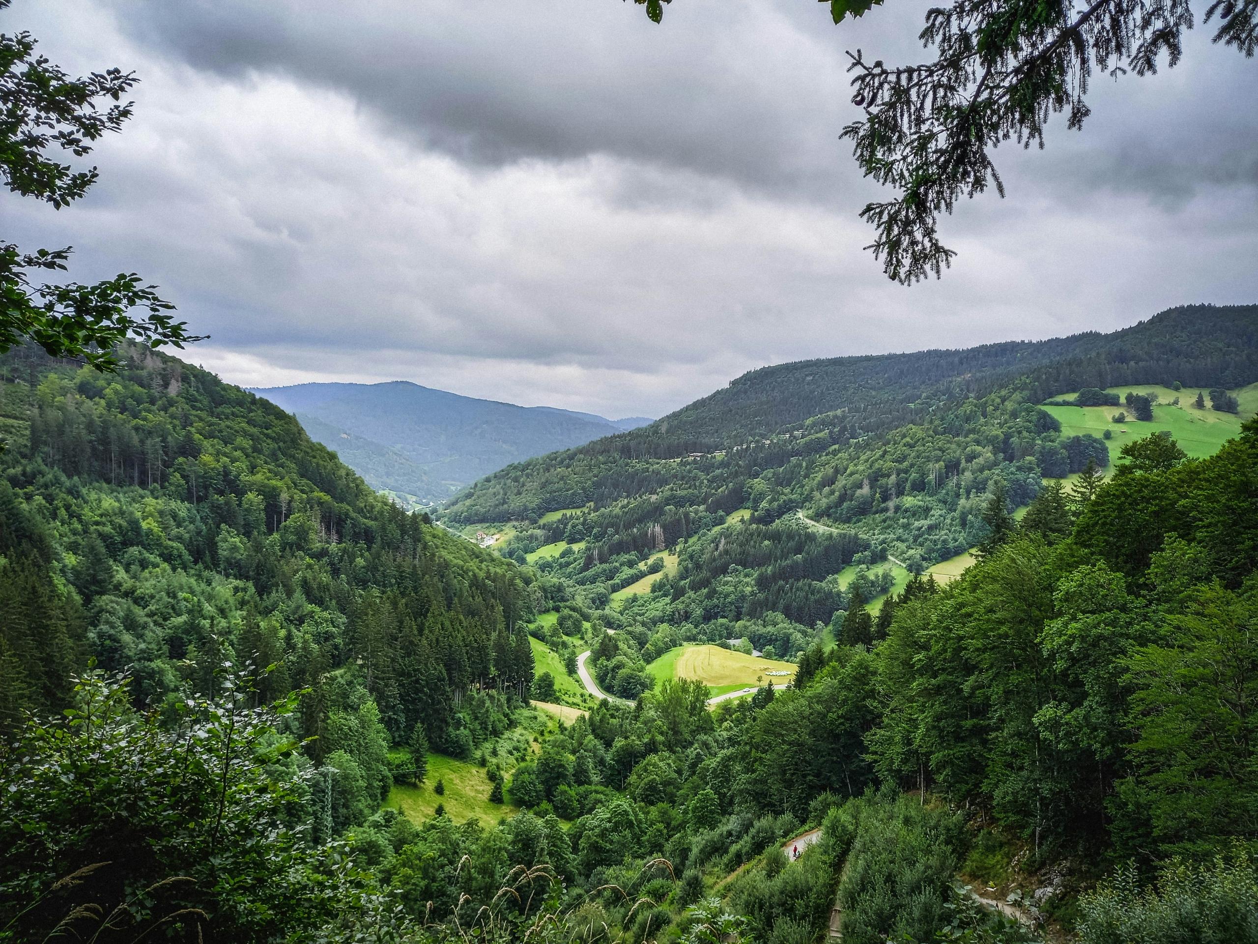 selva negra montaña alemania