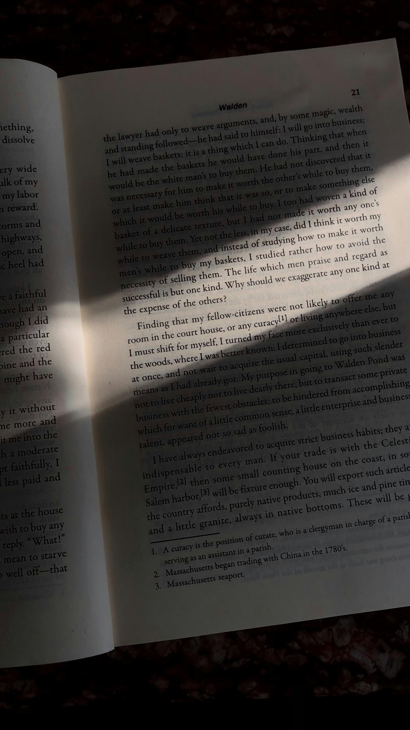 un libro en inglés abierto con la luz del sol que cubre la mitad superior y con sombra abajo.