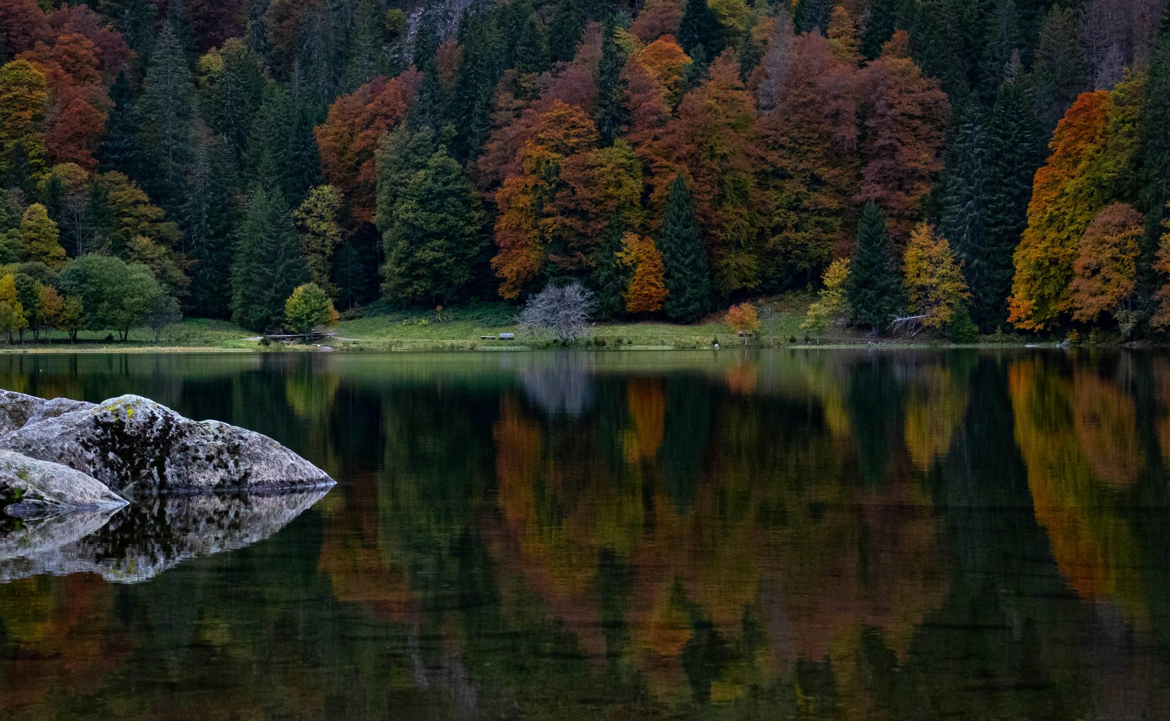 Lago Feldsee en la Selva Negra Alemania 