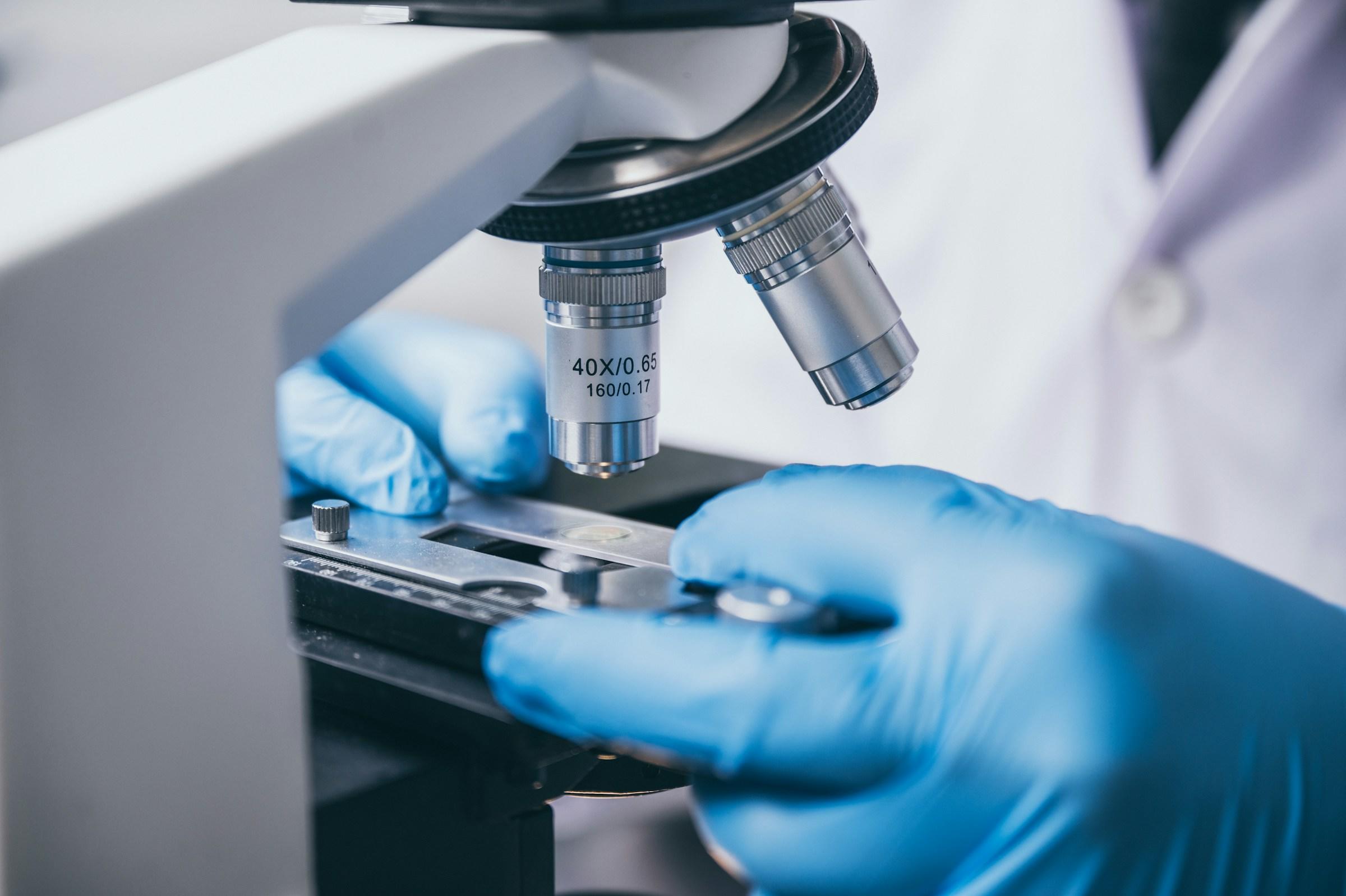 microscopio