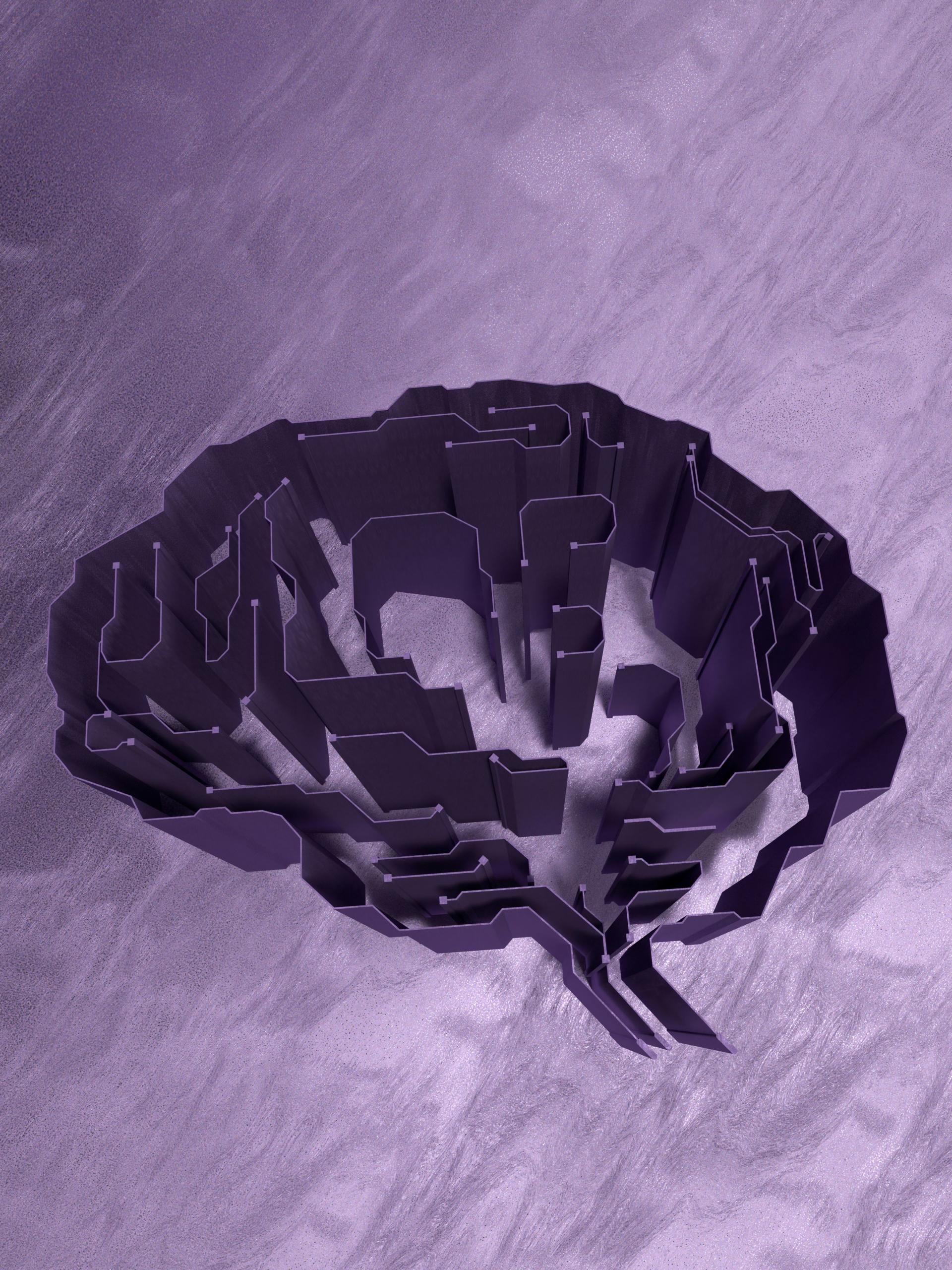 imagen de un cerebro