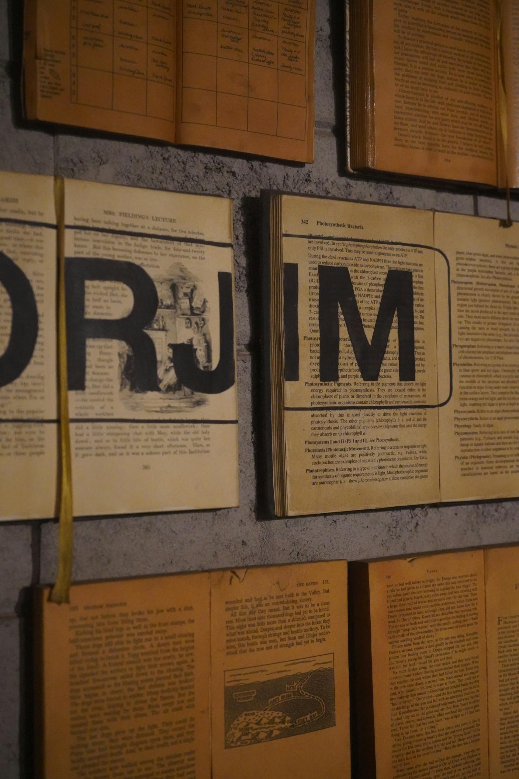 Conjunto montado en la pared de páginas de libros y documentos antiguos con texto e ilustraciones.
