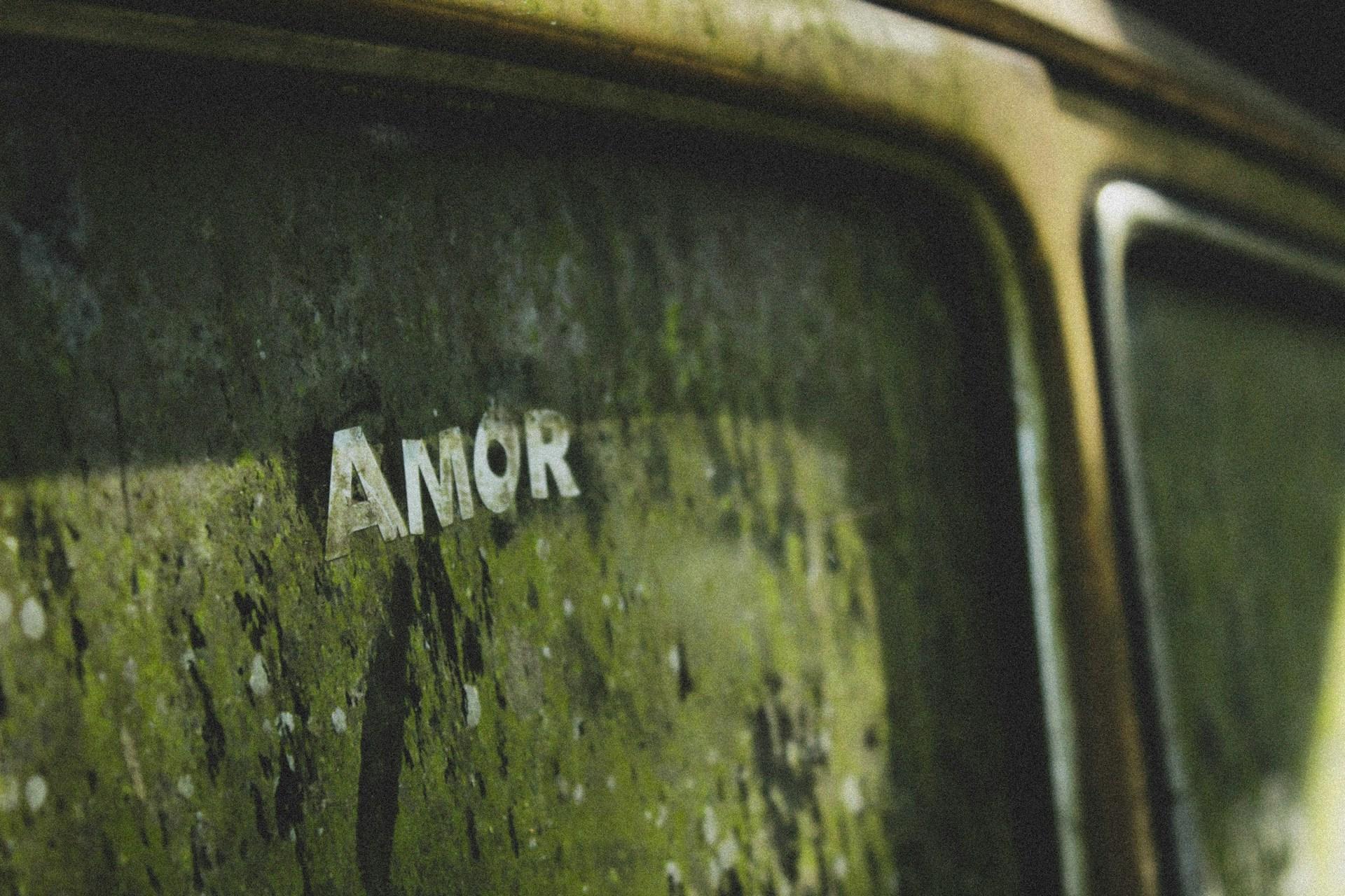 Primer plano de la palabra «AMOR» en la superficie de un coche oxidado y cubierto de musgo.