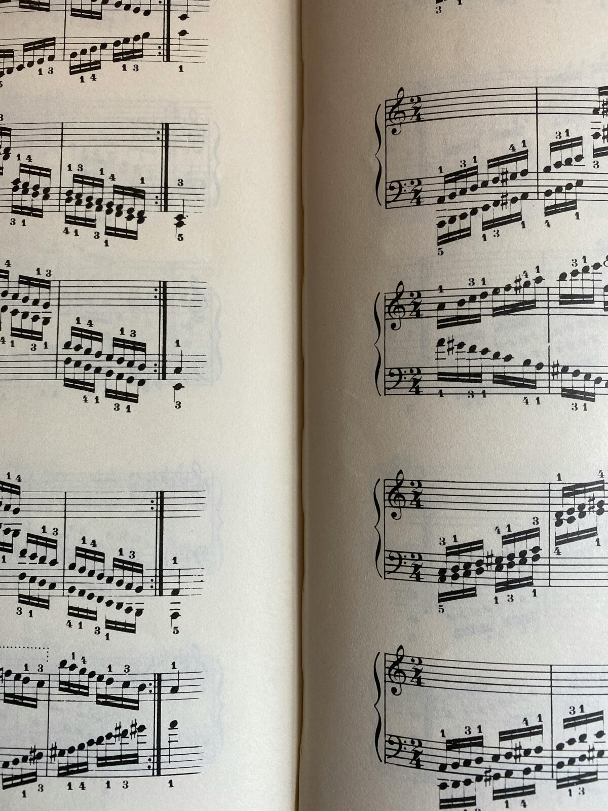Las notas musicales: guía para principiantes