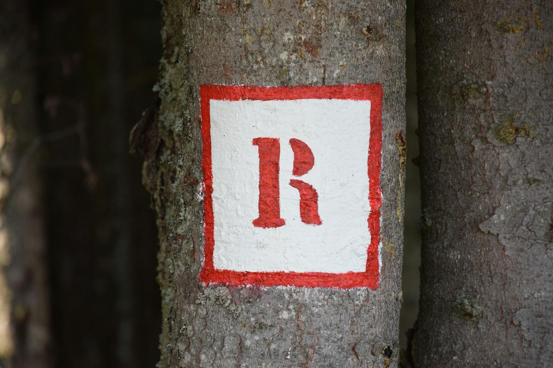 Tronco de árbol con un cuadrado blanco y un borde rojo, en el que se ve pintada una letra «R» en rojo intenso. El fondo es un paisaje forestal, que sugiere un sendero señalizado.