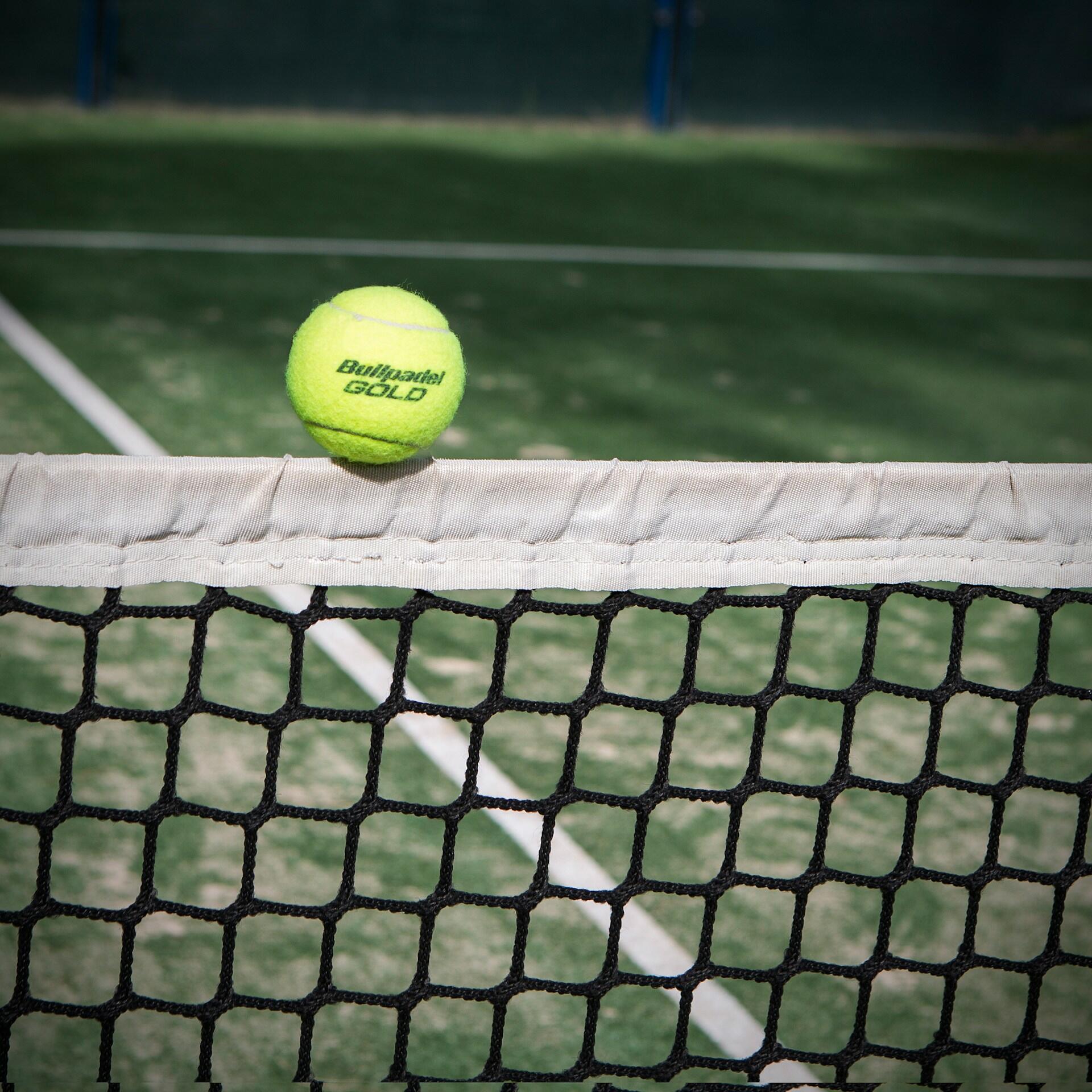 Primer plano de una pelota de tenis de color amarillo brillante apoyada sobre una red blanca, con una pista de tenis verde y líneas blancas ligeramente difuminadas al fondo.