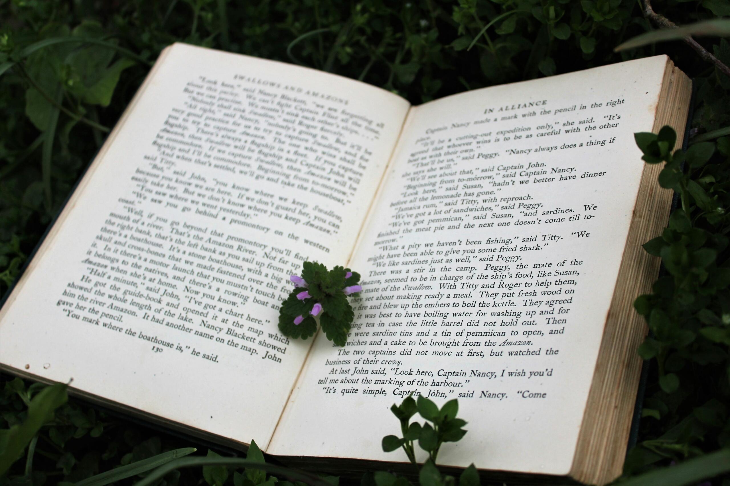 Un libro abierto descansa sobre la hierba verde, con una pequeña flor violeta añadida a las páginas.