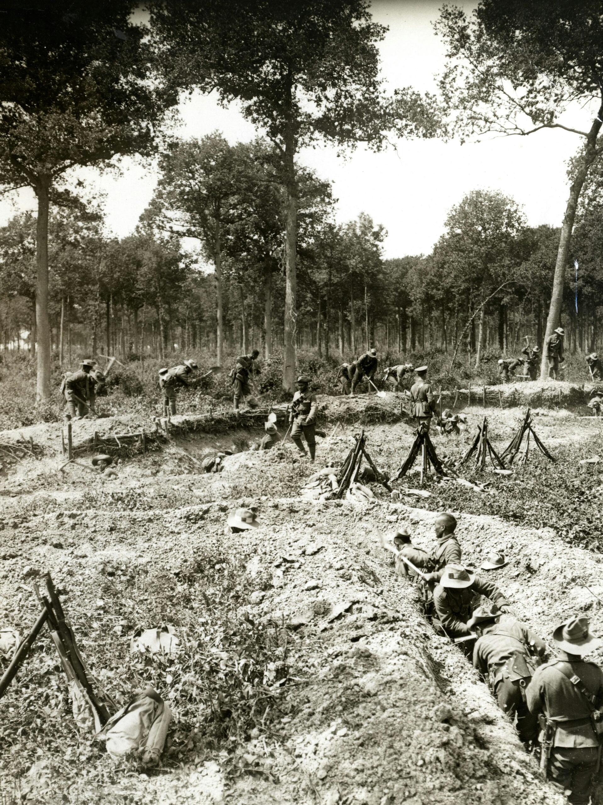 Soldados trabajan en una zona boscosa para construir fortificaciones de trincheras, rodeados de árboles y equipo militar.
