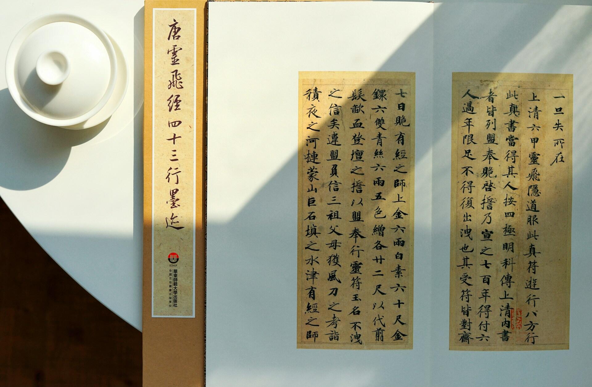 Libro en japonés
