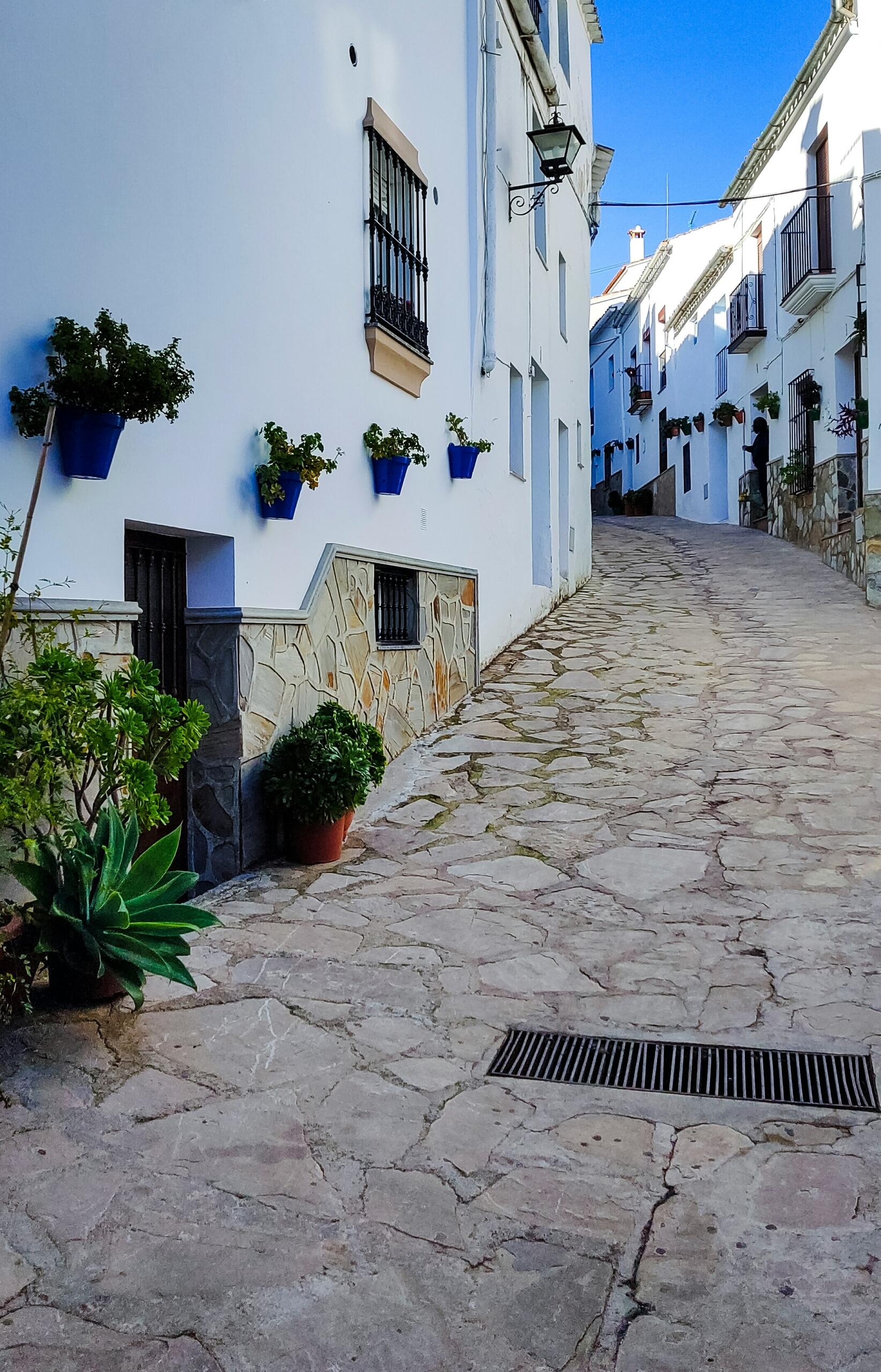 Una pintoresca calle estrecha en un pueblo encalado de cadiz, adornada con macetas azules de plantas, que conduce a un cielo azul despejado.