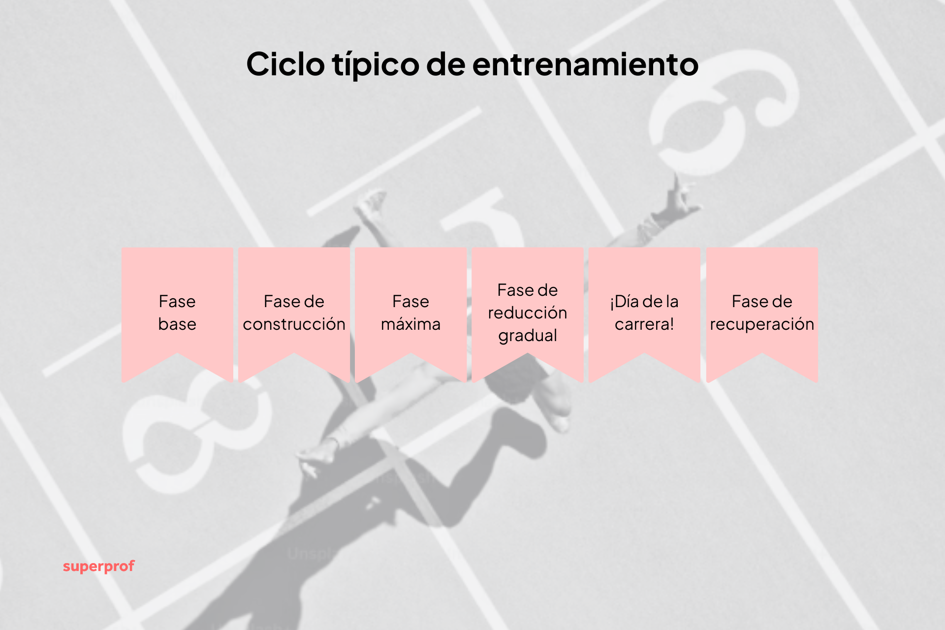 Infografía que muestra un ciclo de entrenamiento típico, con cinco fases: base, construcción, máxima, reducción gradual y recuperación.