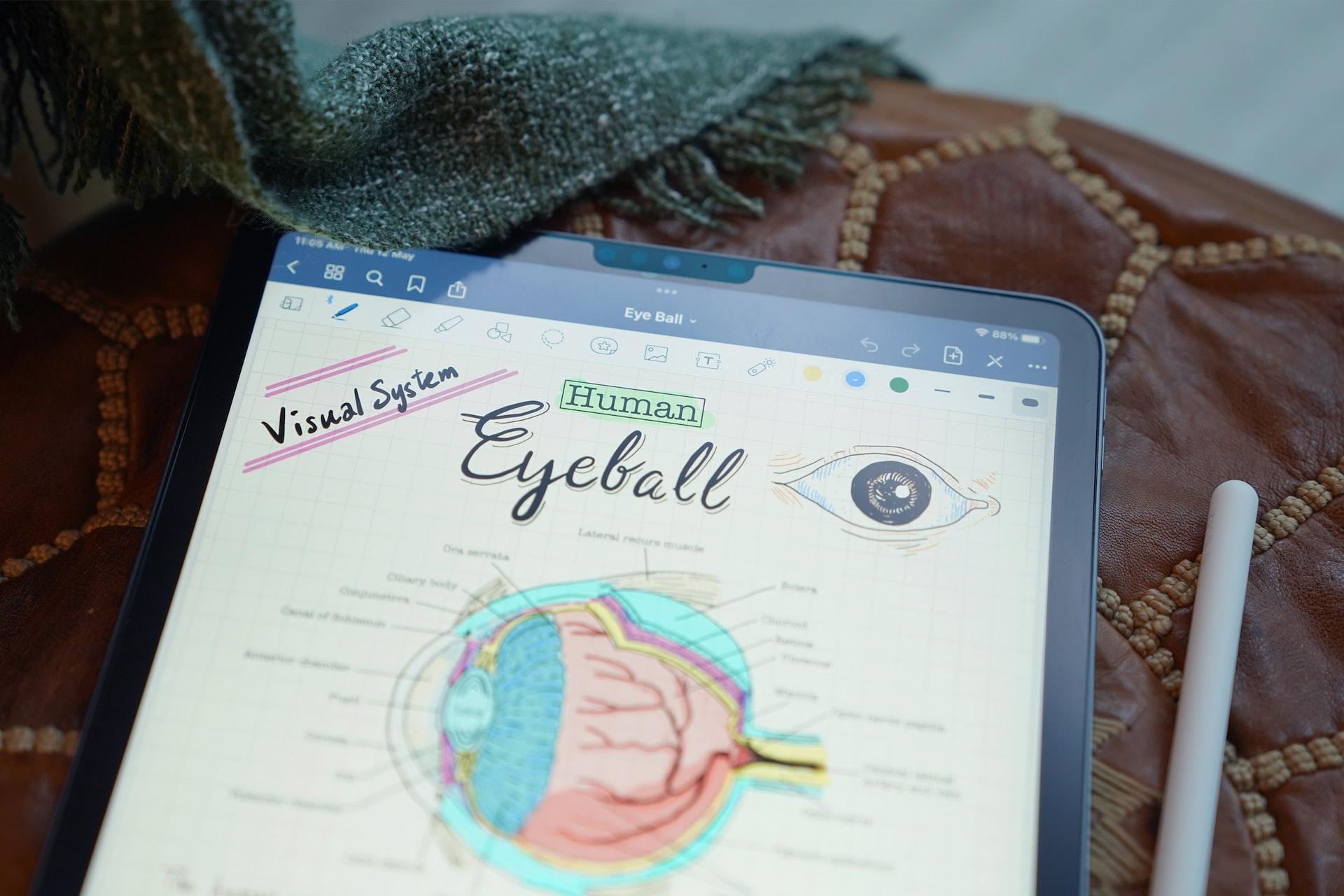 Visual note-taking depicting the human eyeball