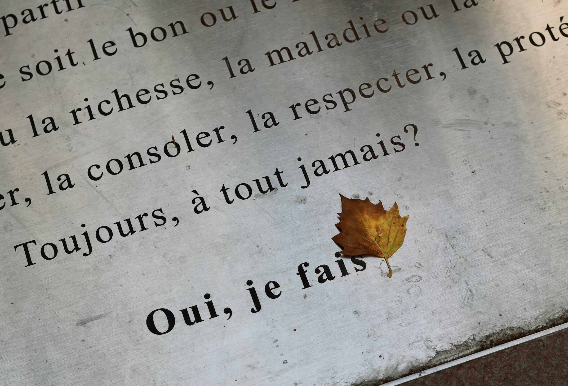 Una hoja amarilla de otoño descansa sobre una superficie metálica grabada con texto en francés, entre ellos «Oui, je fais», entre reflexiones literarias.