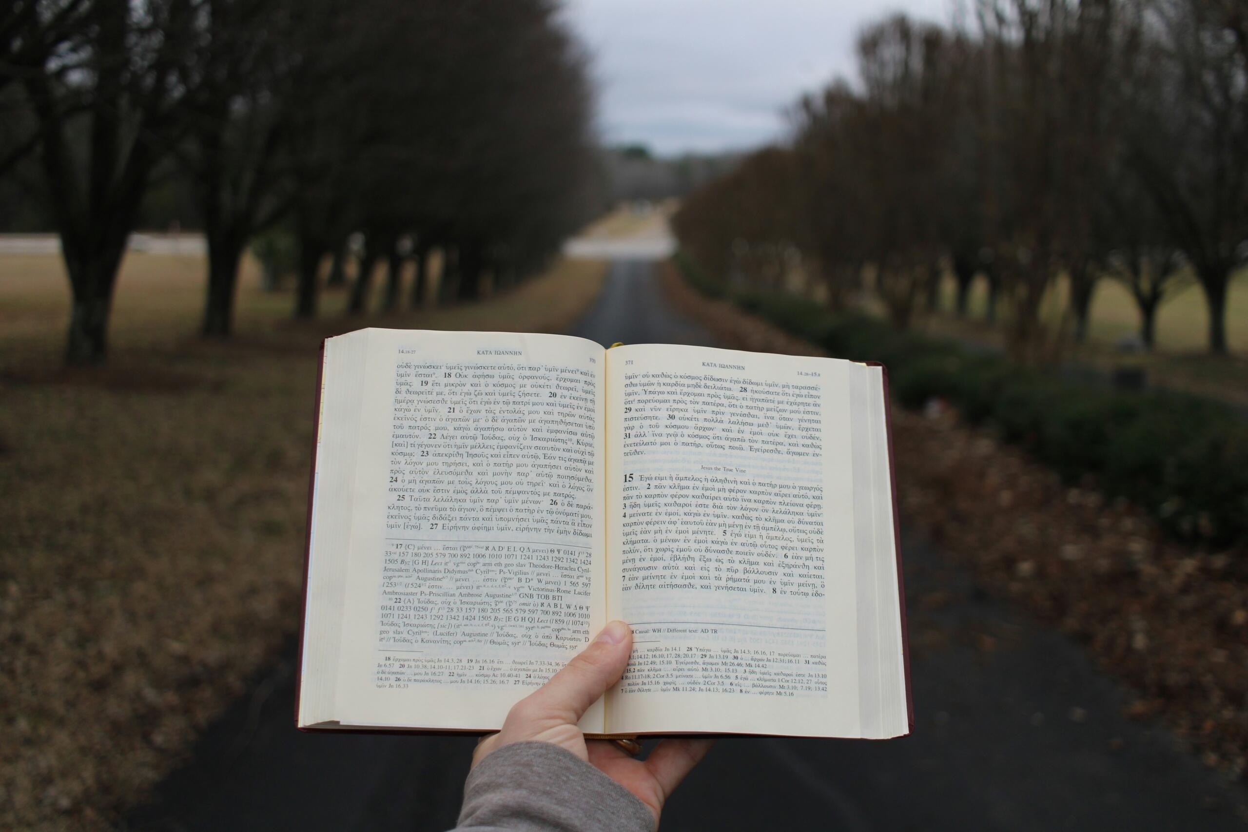 Persona sosteniendo un libro abierto frente a una carretera.