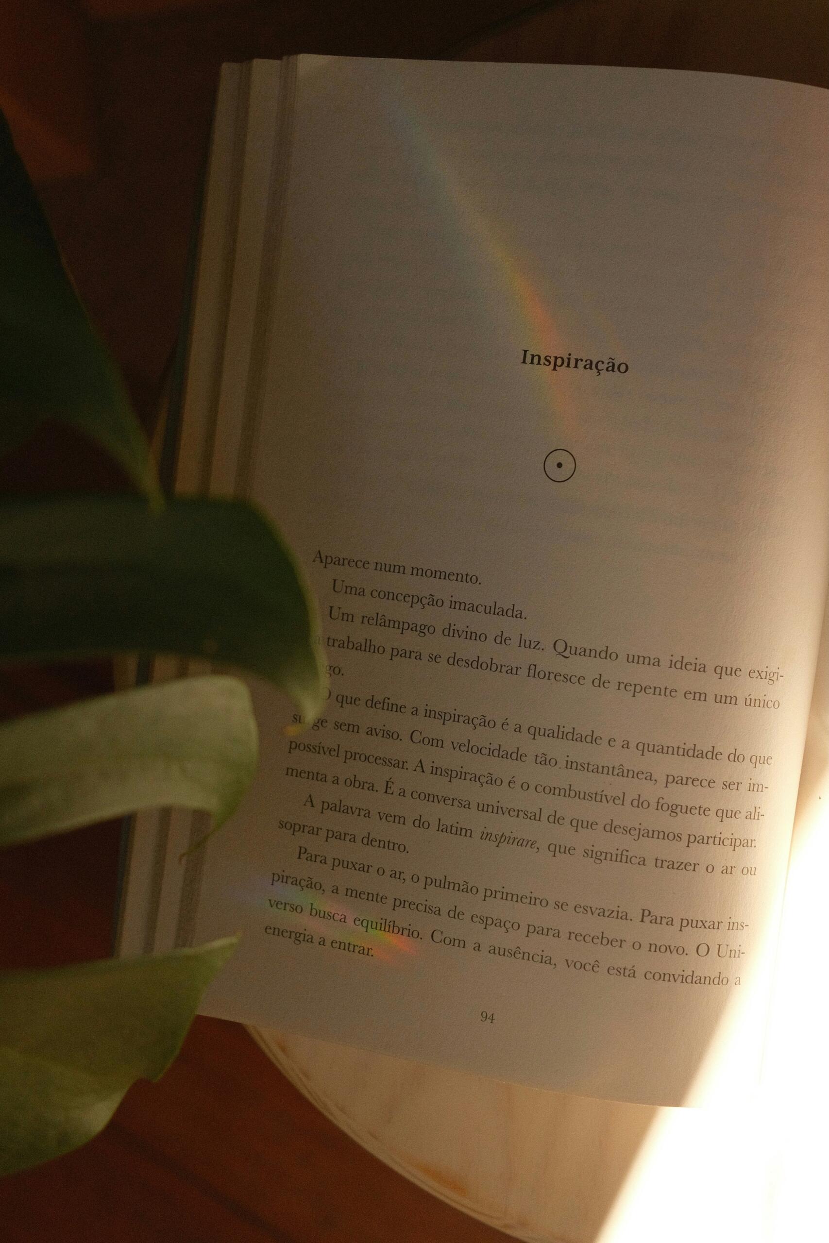 Libros organizados en una estantería, mostrando una variedad de colores y tamaños.
