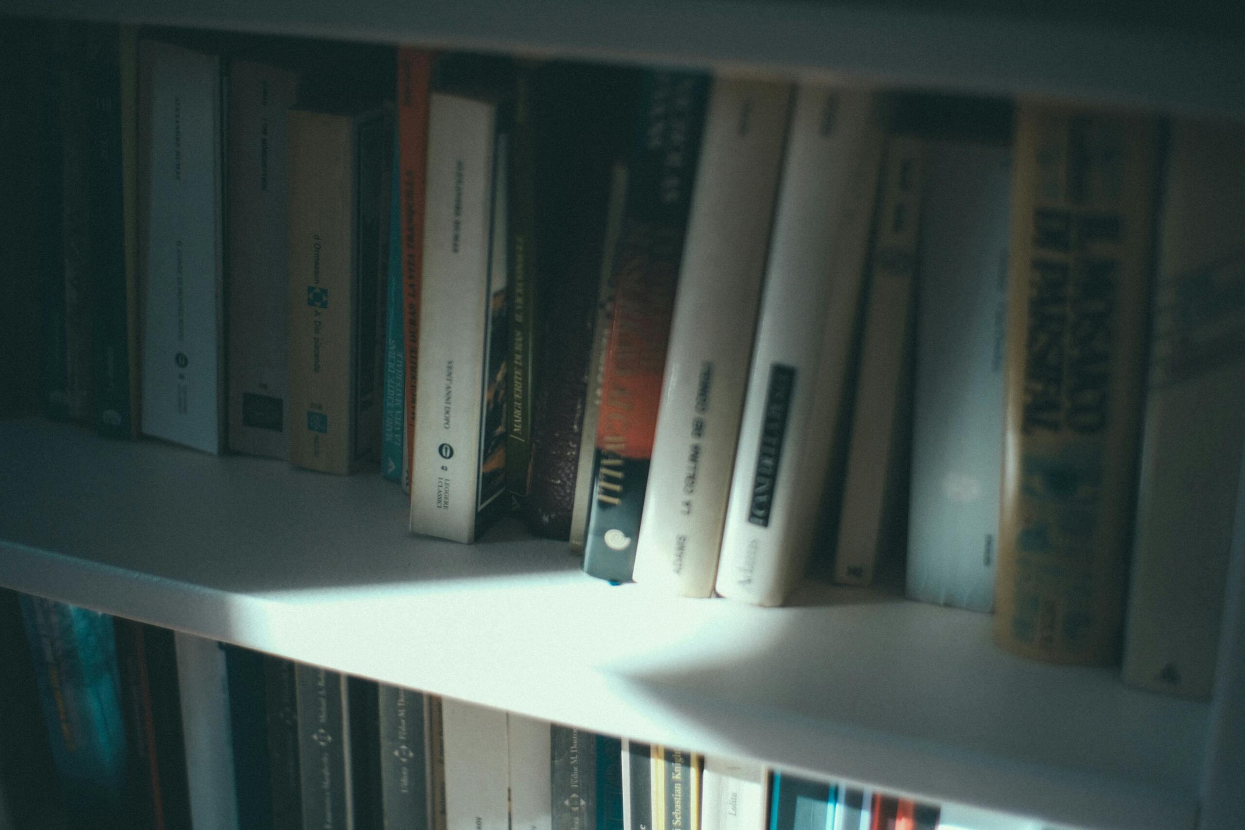 Estante de libros con varios títulos organizados en diferentes colores y tamaños.