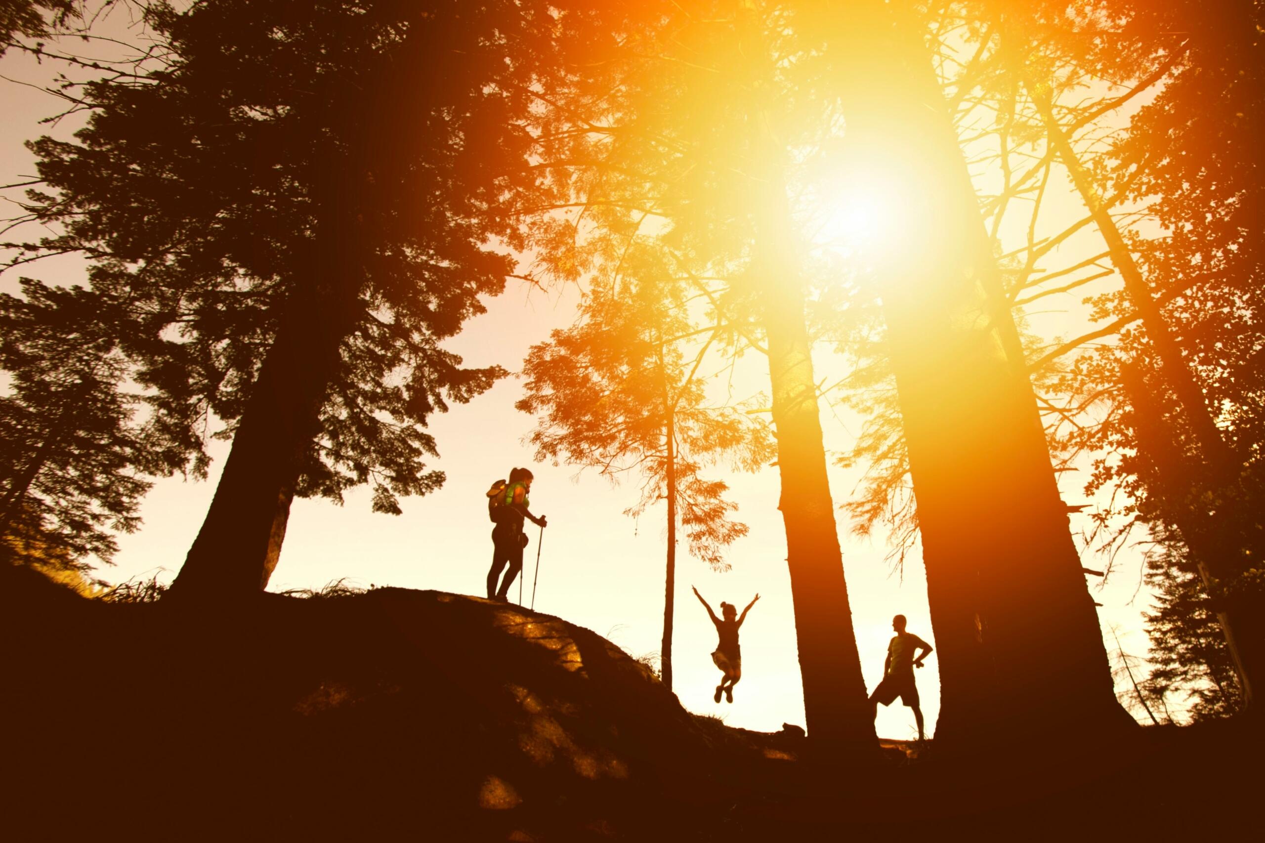 Siluetas de excursionistas contra una puesta de sol entre altos árboles, una persona saltando alegremente, irradiando una sensación de aventura y libertad.