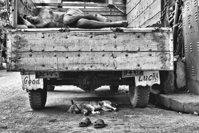 Tipos de fotografía