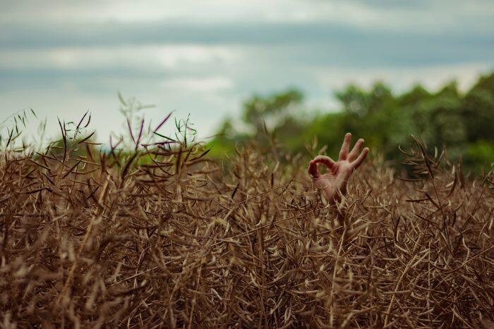 La meditación como herramienta de cambio.