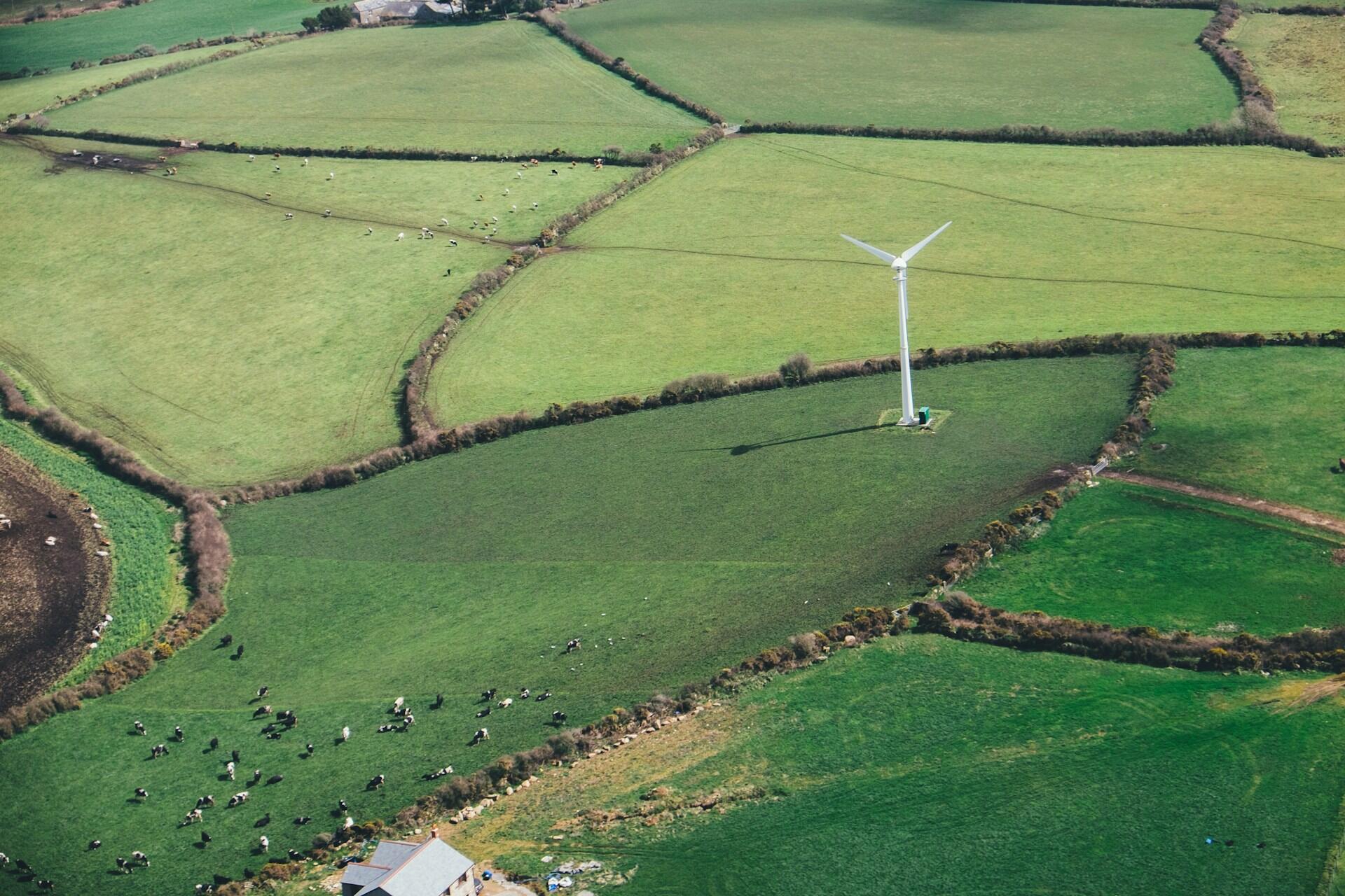 Vista aérea de exuberantes campos verdes divididos por setos, con un aerogenerador y vacas pastando en el paisaje. Se ve una granja abajo.