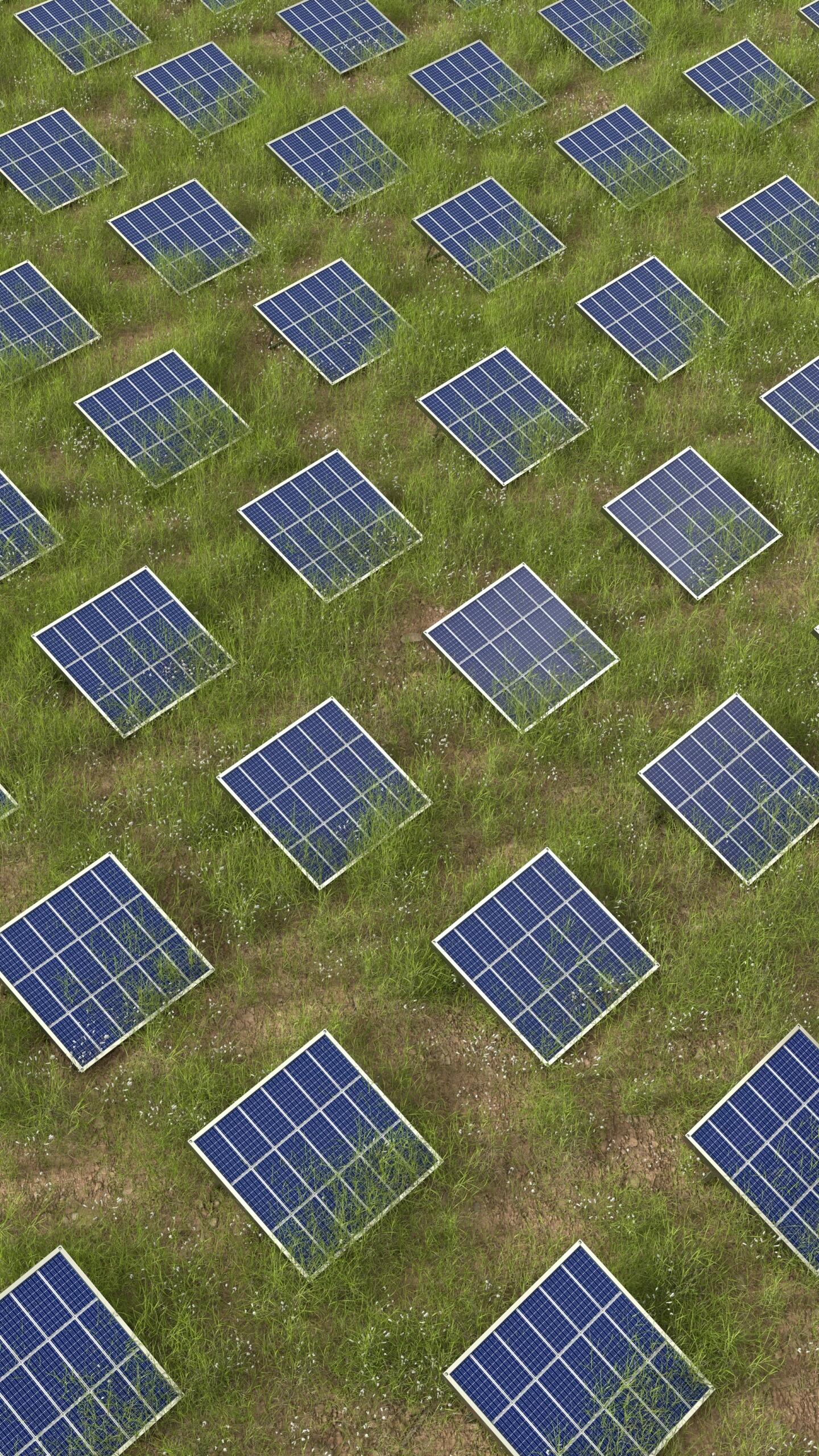 cubierto de paneles solares instalados directamente sobre el suelo con césped y vegetación.