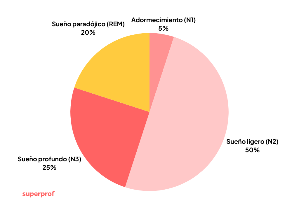 Gráfico circular sobre las fases del sueño. Muestra: sueño ligero (N2) 50%, sueño profundo (N3) 25%, sueño REM 20% y adormecimiento (N1) 5%. Fuente: superprof. Diseño colorido e informativo.