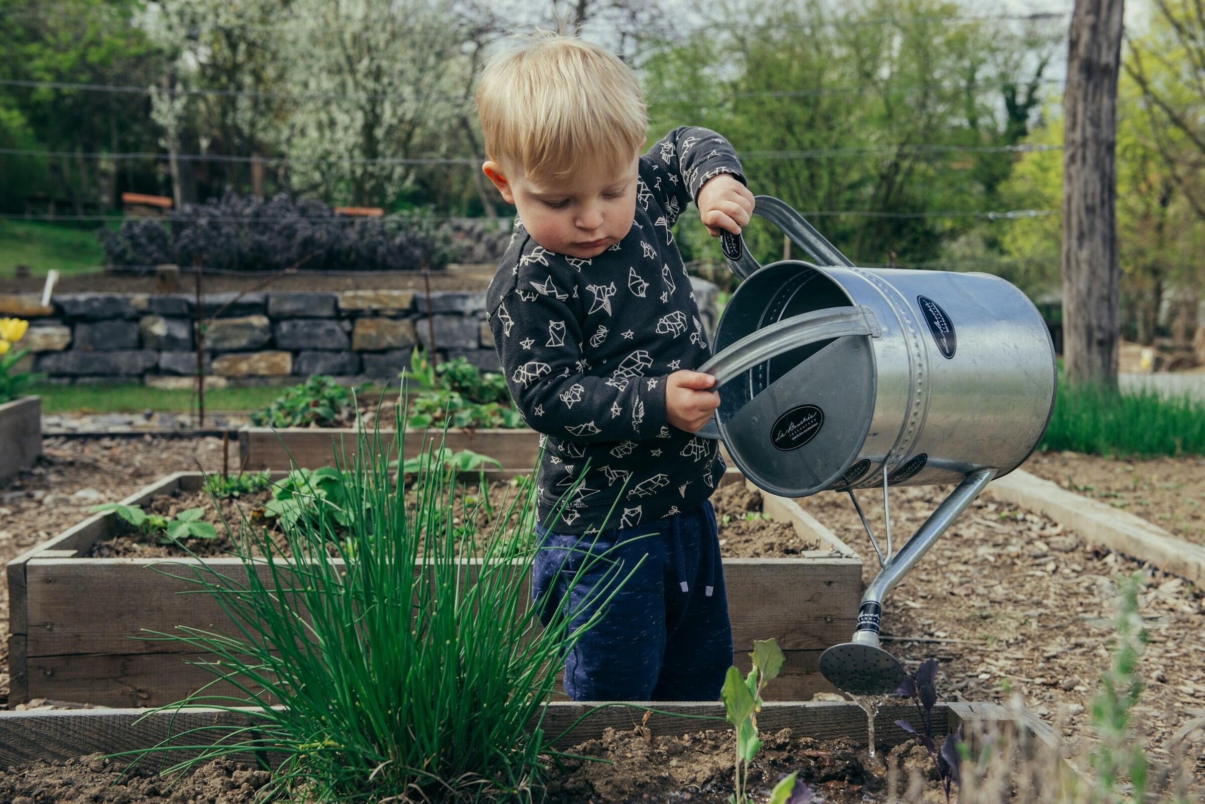 Un niño riega las plantas en un jardín con una regadera metálica, rodeado de huertos y vegetación.