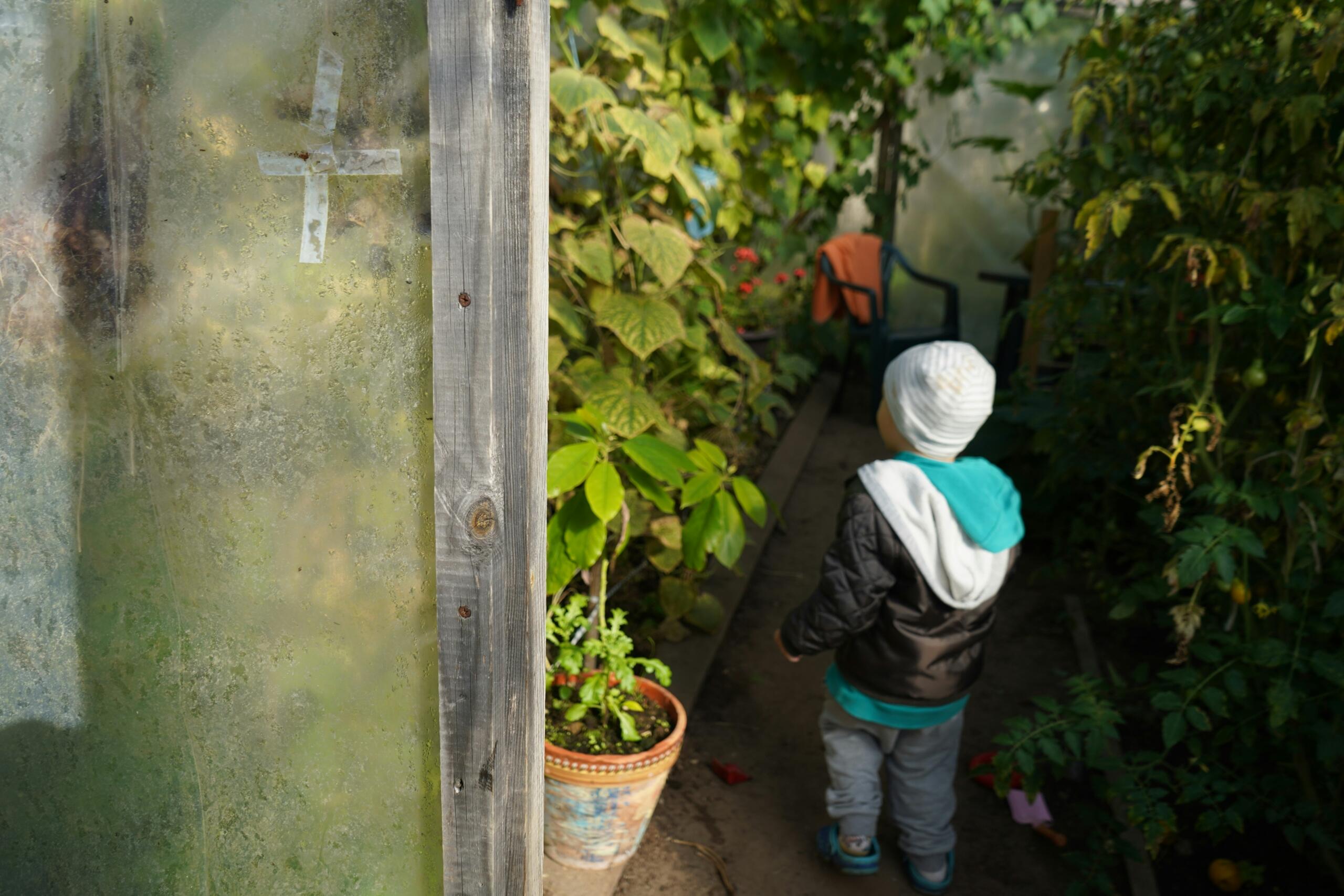Un niño caminando por un invernadero lleno de plantas verdes y flores coloridas.