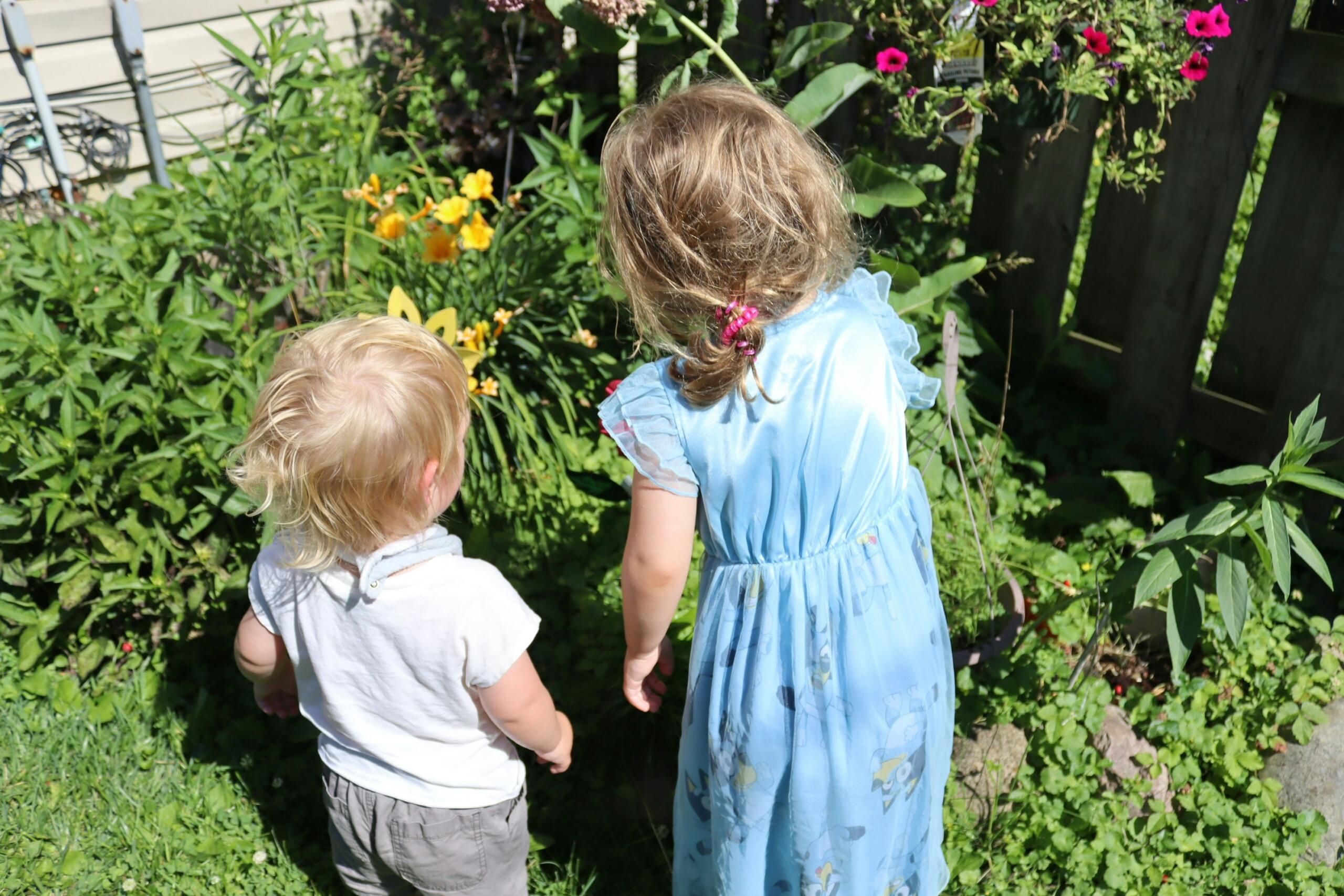 Dos niños pequeños en el jardín observando flores coloridas. 