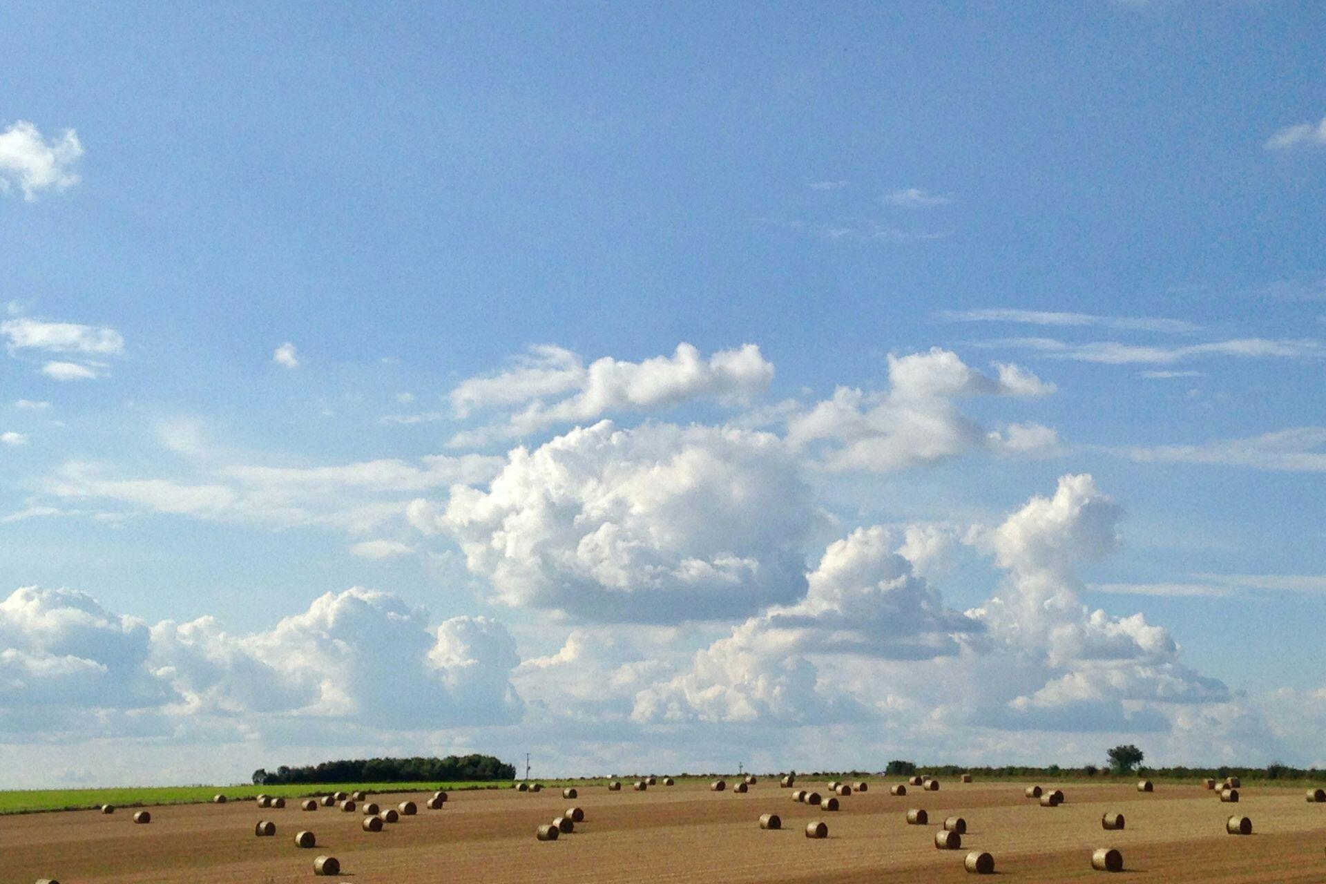 Un amplio campo de heno con un gran avión volando sobre él.