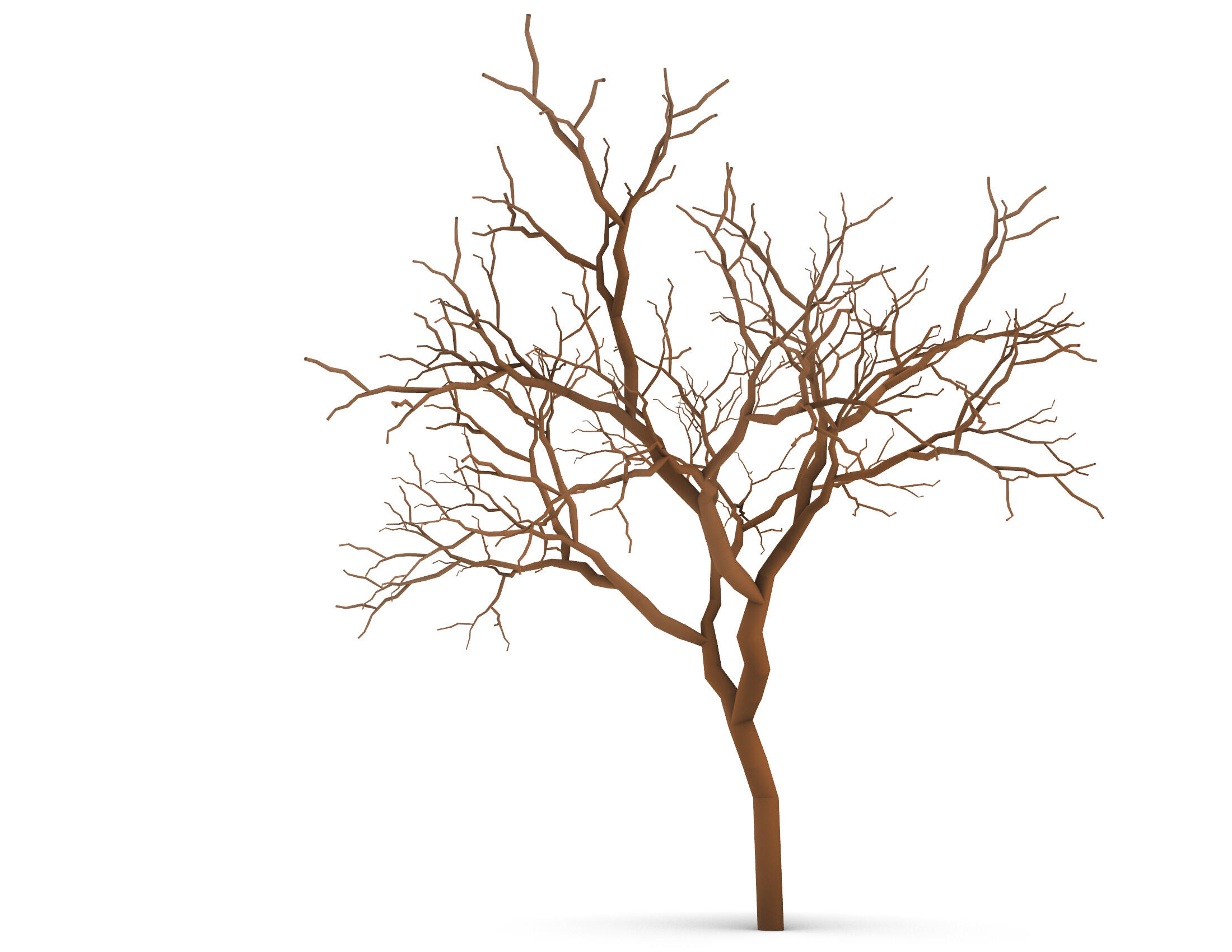 Un árbol desnudo sobre un fondo blanco, destacando su silueta y ramas sin hojas.