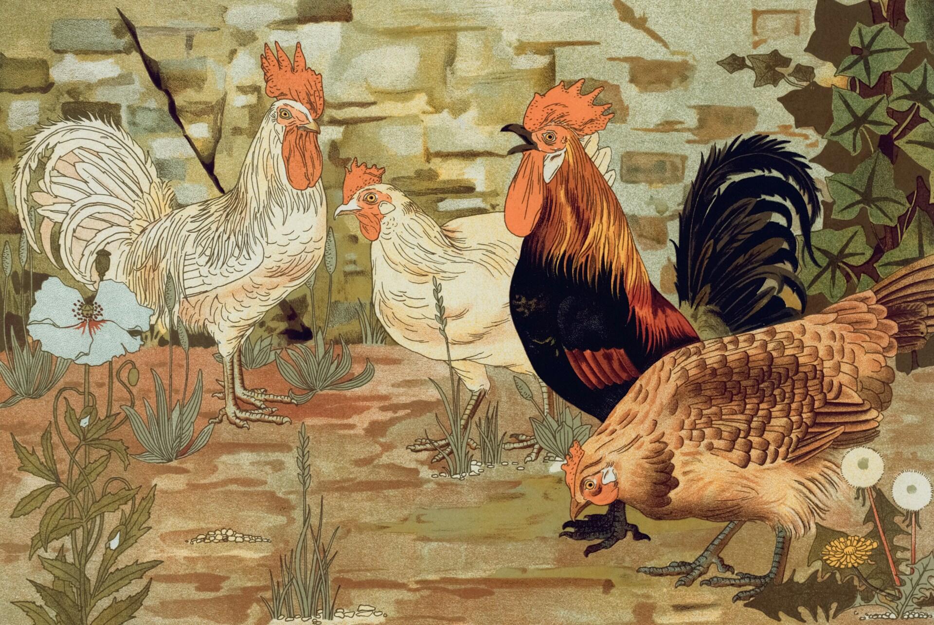 Cuatro gallinas de colores en un jardín, con un muro de piedra como fondo y varias plantas y flores a tu alrededor.
