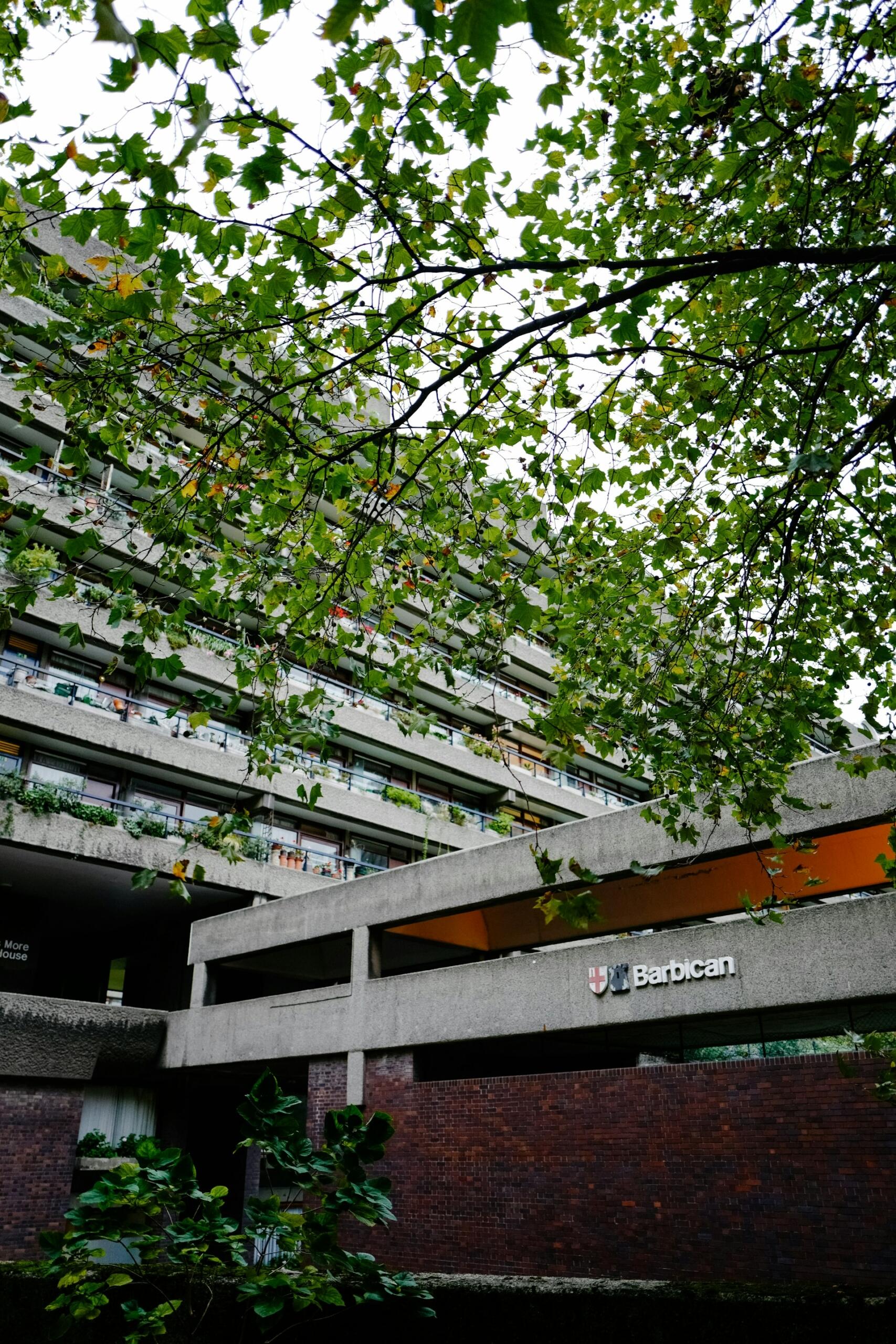 El edificio brutalista de hormigón del Barbican Centre enmarcado por ramas de árboles verdes, creando un contraste entre la estructura arquitectónica y la naturaleza.
