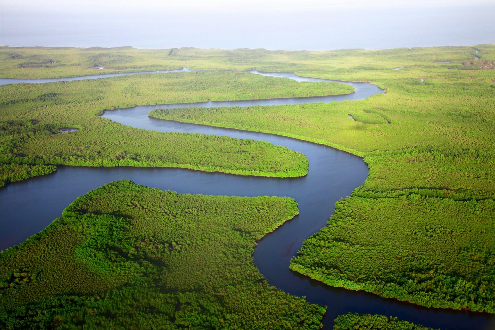 Vista aérea de un frondoso y verde bosque de manglares atravesado por un sinuoso río azul, que evoca una sensación de tranquilidad y belleza natural.