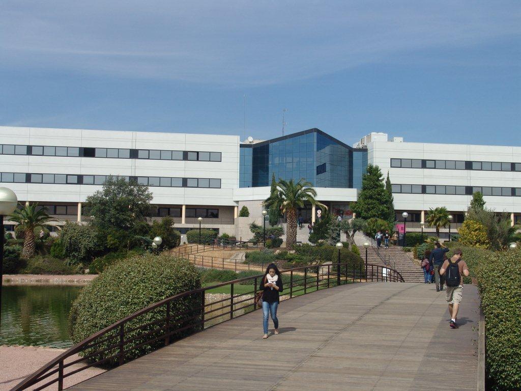 Edificio moderno del campus de la universidad europea en madrid con fachada acristalada, rodeado de palmeras y arbustos, con gente caminando por un puente de madera y unas escaleras.