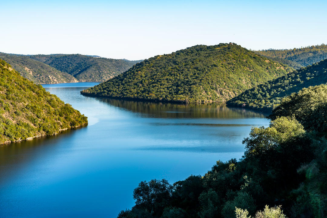 Un río tranquilo que serpentea entre exuberantes colinas verdes bajo un cielo azul y despejado. El apacible paisaje transmite tranquilidad y belleza natural.