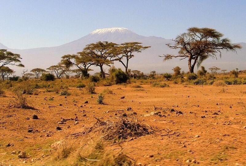 Paisaje árido con acacias dispersas bajo un cielo azul y despejado, con la cima nevada del Kilimanjaro al fondo. Tranquilo y sereno.