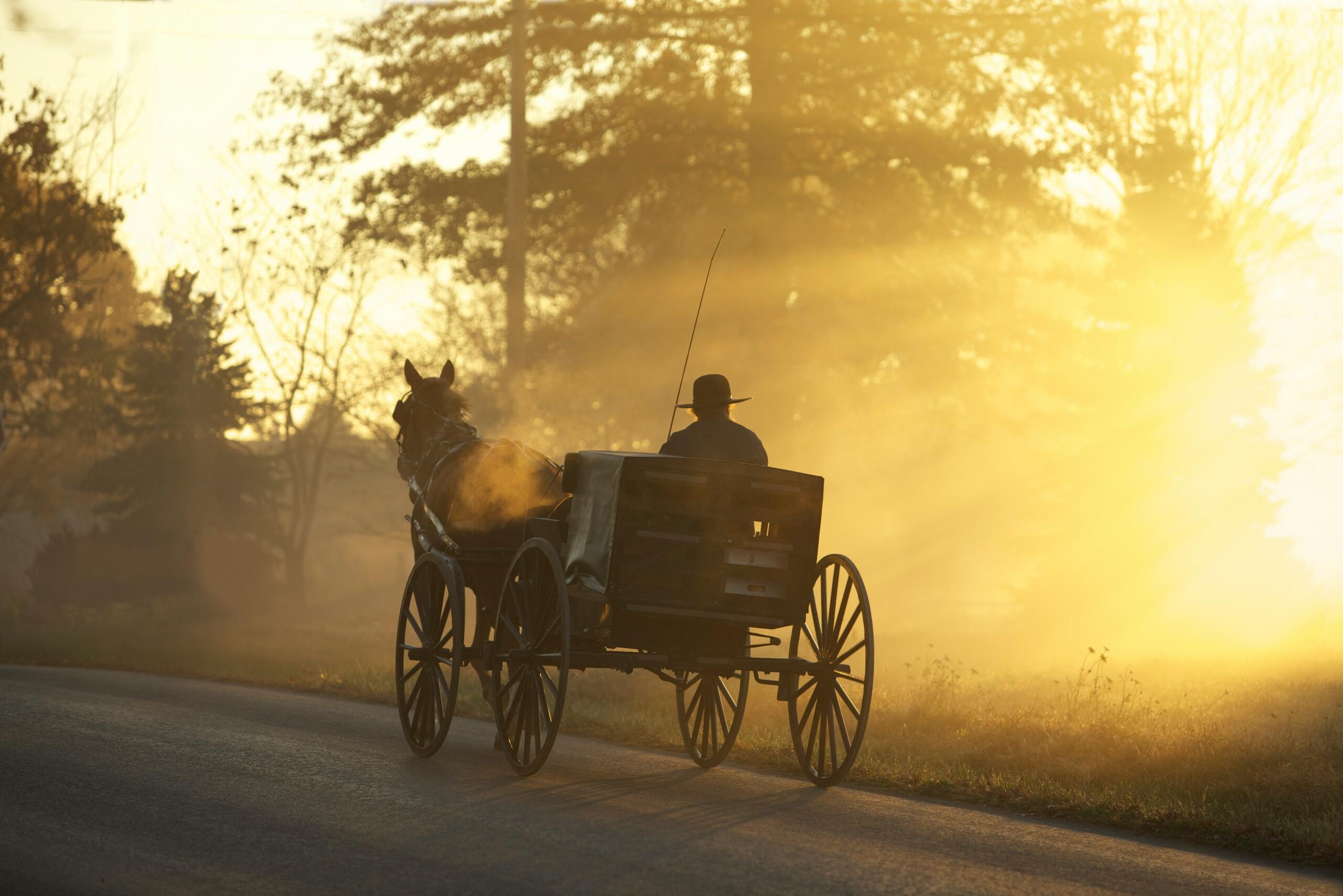 Un hombre vestido con trajes tradicionales recorre en un carruaje tirado por caballos una carretera envuelta en niebla al amanecer, con una luz dorada y árboles al fondo.