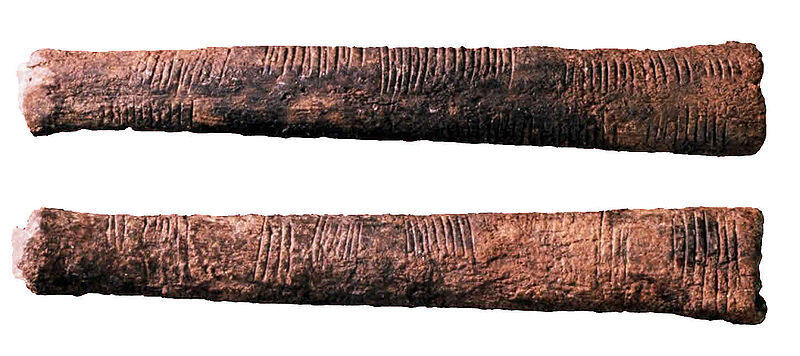 Se exponen en paralelo dos huesos antiguos con marcas talladas. Son de color marrón y están desgastados por el paso del tiempo, lo que sugiere que se utilizaron en el pasado para contar o llevar un registro.