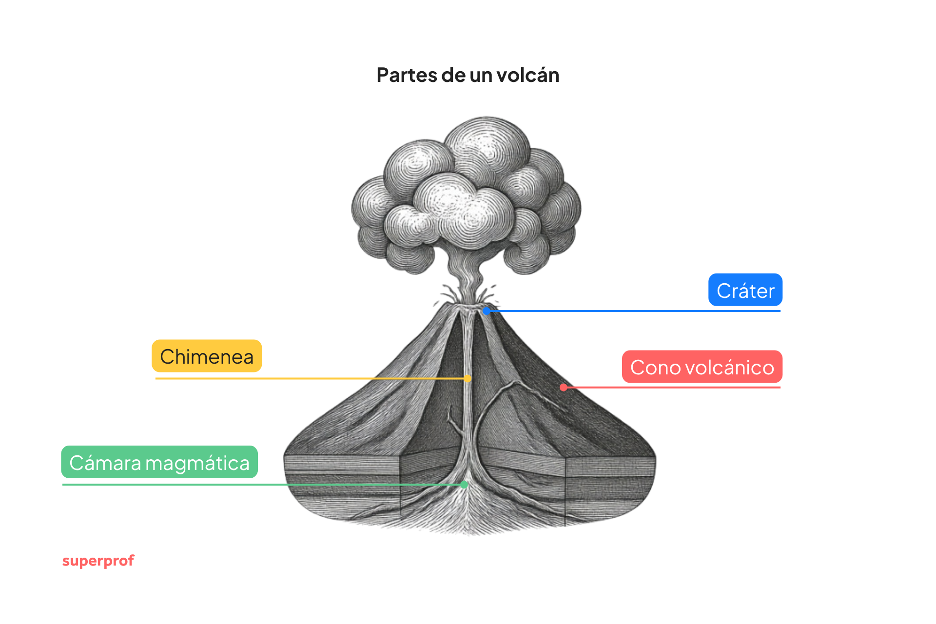 Diagrama en sección transversal de un volcán en el que se aprecian la cámara magmática, el conducto, el cono volcánico y el cráter. Los flujos de lava y el humo ilustran una erupción.