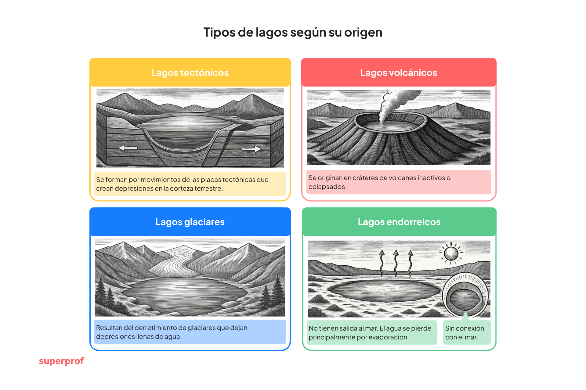 Ilustración en la que se muestran cuatro tipos de lagos: tectónicos, volcánicos, glaciares y endorreicos, cada uno con imágenes del paisaje y explicaciones sobre su formación.