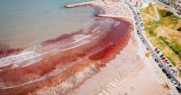 Vista aérea de una playa en la que el agua, de color marrón rojizo, rompe sobre la arena. Hay gente dispersa a lo largo de la orilla. Cerca de allí se divisa una carretera con coches aparcados y una zona con césped, lo que transmite un ambiente animado y bullicioso.