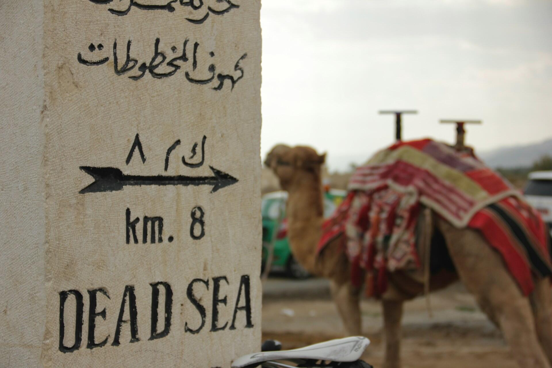 Lápida en la que se lee «Mar Muerto, km 8», con texto en árabe, que apunta hacia la derecha. Al fondo se ve un camello ensillado, lo que sugiere un paisaje desértico.