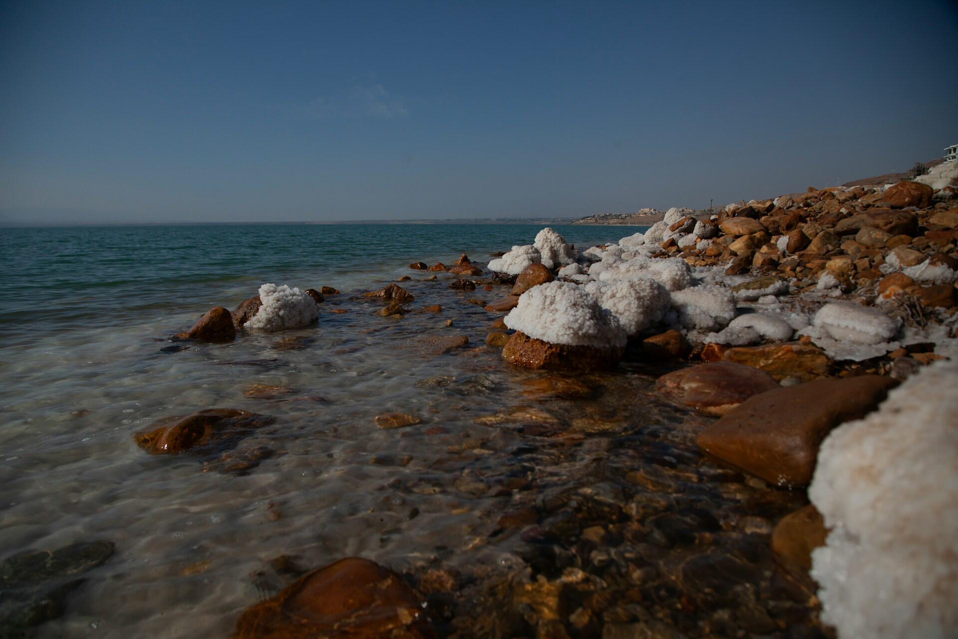 La costa rocosa del Mar Muerto, con piedras cubiertas de sal bajo un cielo azul y despejado. Las olas tranquilas crean un ambiente apacible y sereno.