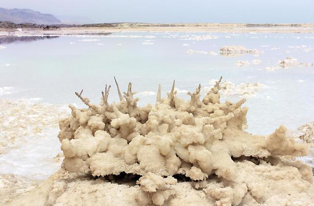 Las formaciones salinas se alzan como corales irregulares cerca de la orilla de un lago salino tranquilo y de un azul pálido. La escena es serena, con montañas lejanas bajo un cielo brumoso.
